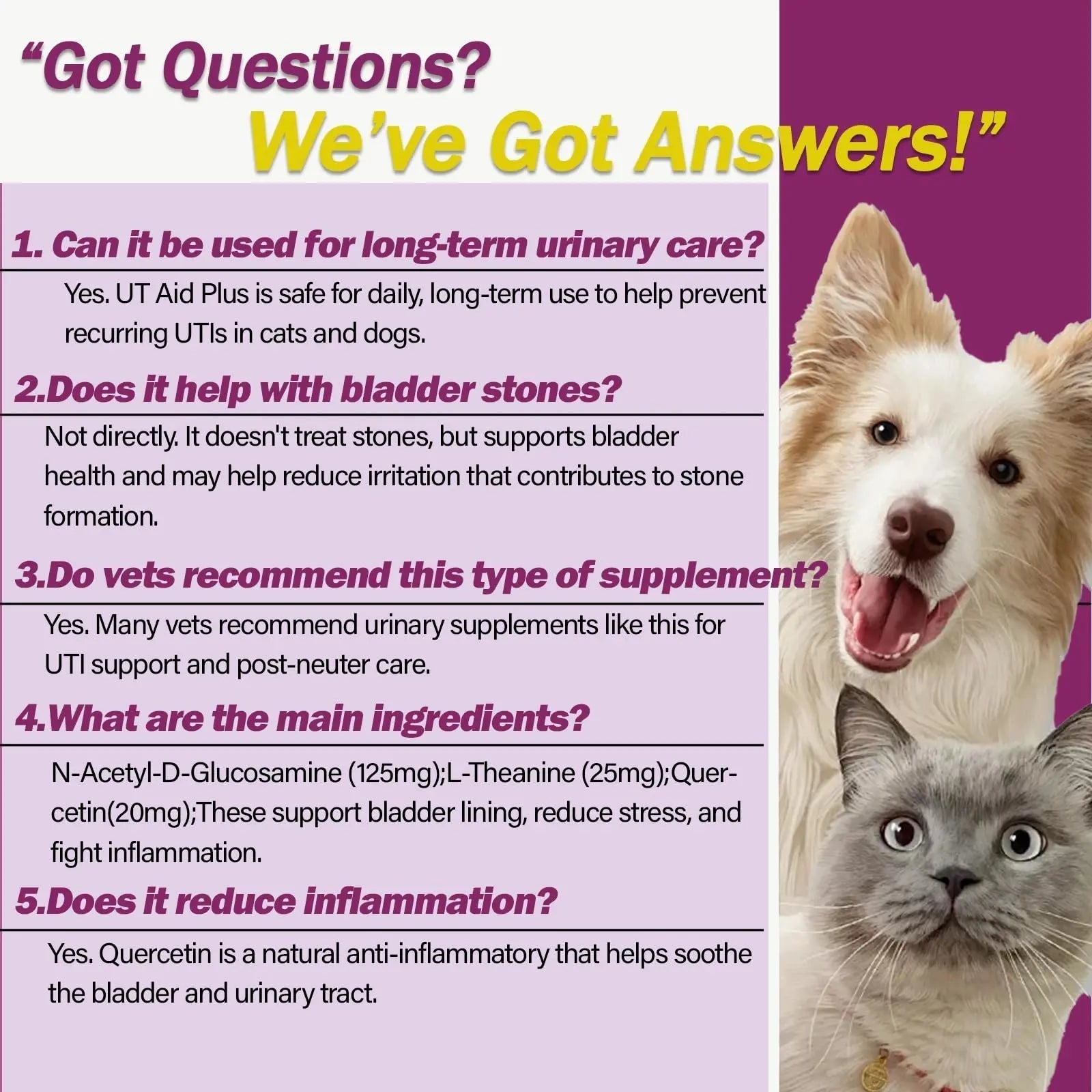 NUTRIARISE Natural UTI Treatment for Cats & Dogs – Antibiotic-Free Urinary Tract Infection Support Supplement – Bladder & Kidney Health – Incontinence Prevention – 30 Capsules NUTRIARISEAu supplements