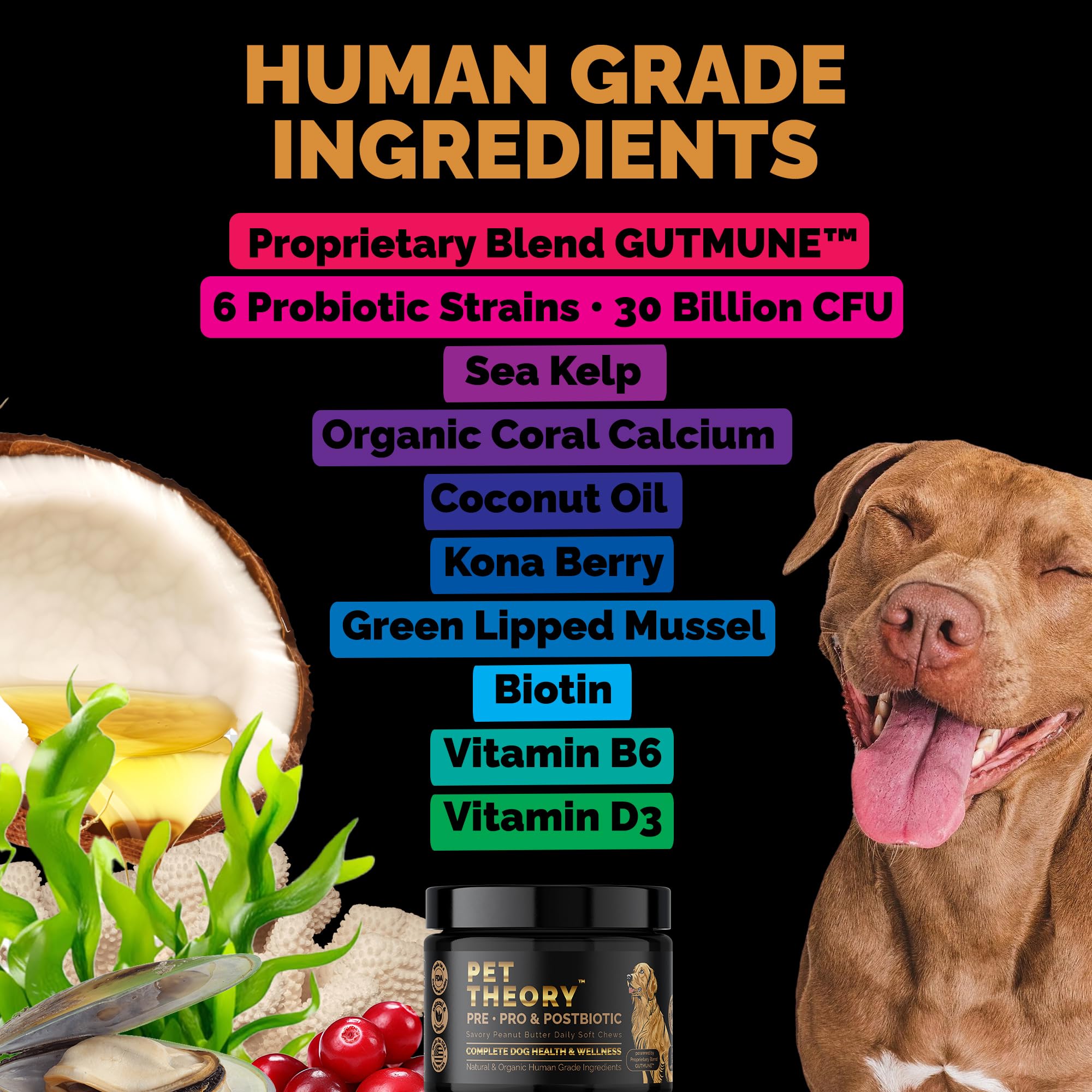 Pet Theory Probiotics for Dogs. Dog Digestive Health-Pre Pro and Postbiotic Combination-Pet Supplements for Gut Health-Supports Digestion, Boost Immunity-100CT Soft Chews Pet TheoryAu supplements