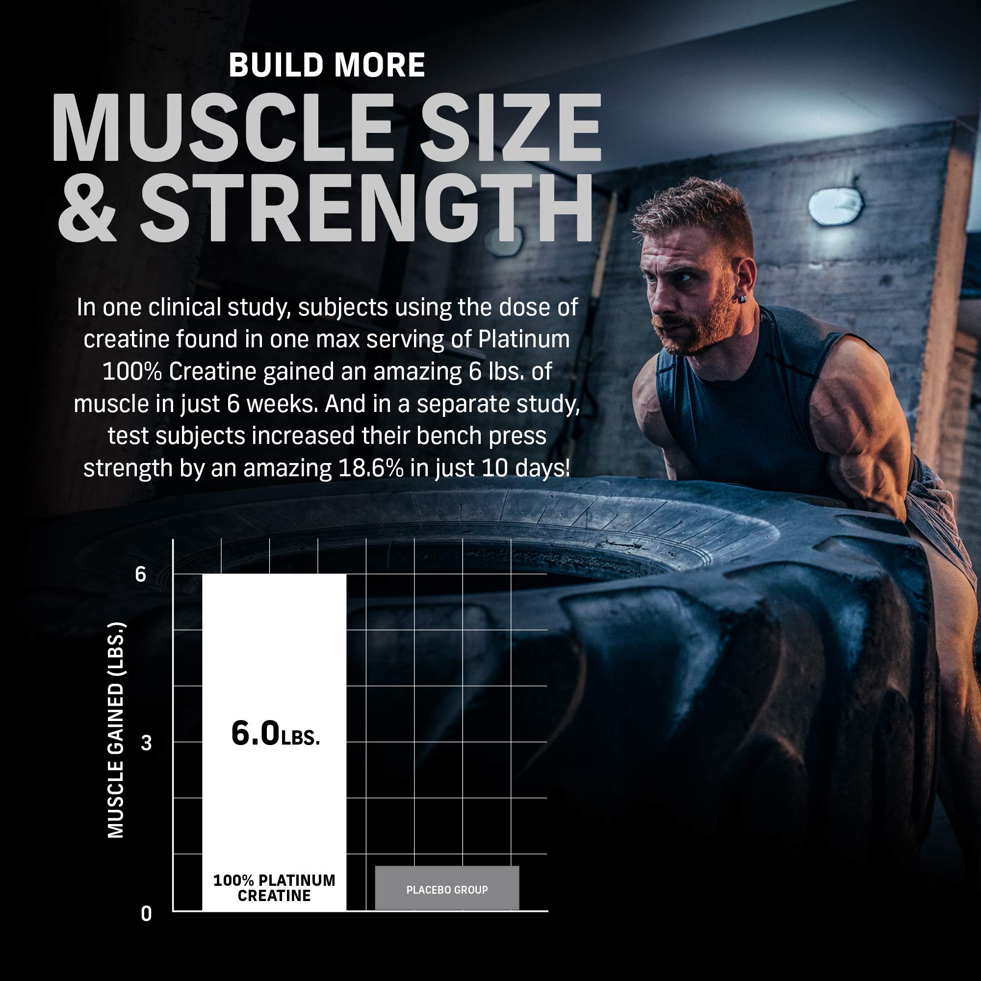 Muscletech Whey Protein Powder Phase8 Protein Powder & nohydrate Powder Platinum MuscletechAu supplements