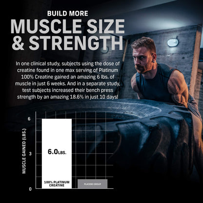 Muscletech Whey Protein Powder Phase8 Protein Powder & nohydrate Powder Platinum MuscletechUS supplements