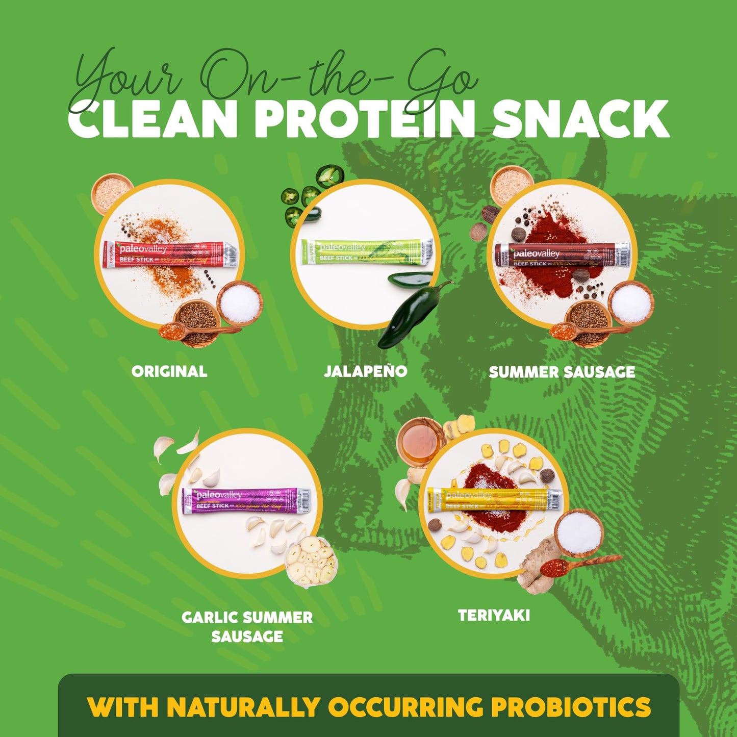 Paleovalley 100% Grass Fed Beef Sticks - Delicious Gluten Free Beef Snack - High Protein Keto Friendly, 50 Count Variety Pack PaleovalleyUS supplements