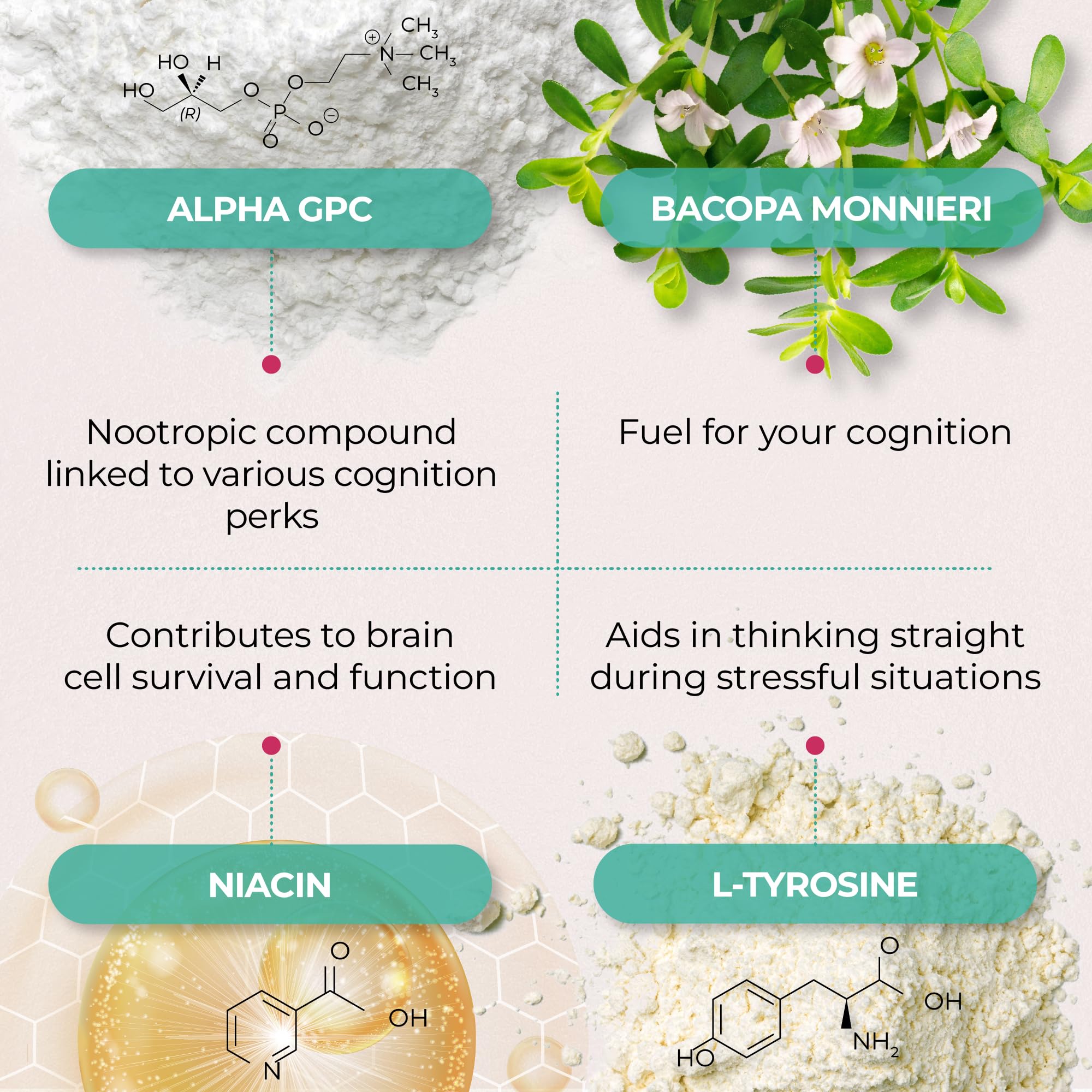PUREHEALTH RESEARCH Ageless Brain Supplements for Memory and Focus - Nootropic Brain Health Supplement for Adults - with Bacopa Monieri, Alpha GPC, L-Tyrosine, Vitamin B6, Niacin & More, 60 Capsules PUREHEALTH RESEARCHAu supplements