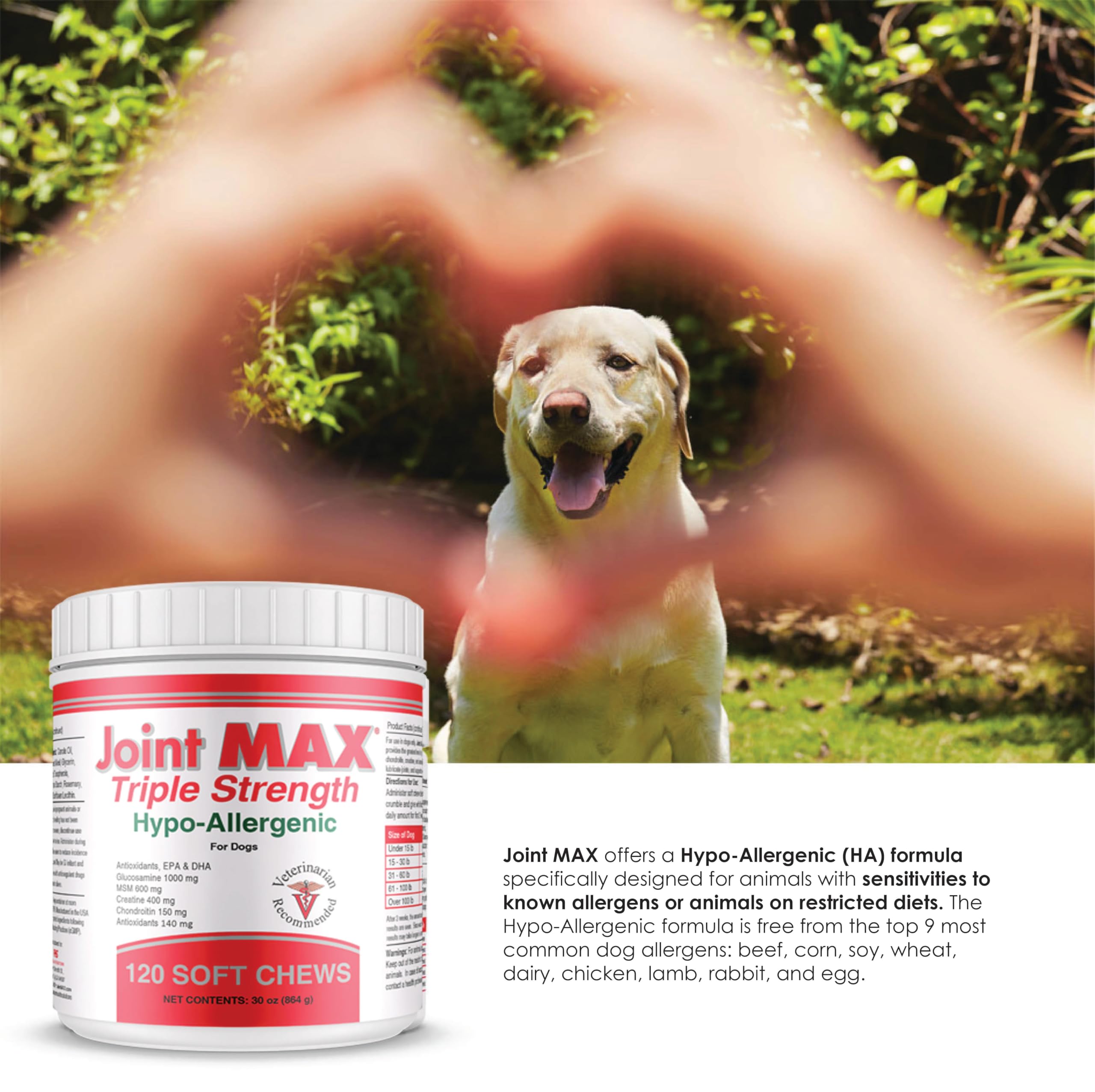 Joint MAX Triple Strength Hypo-Allergenic Soft Chews for Dogs - Hip and Joint Support Supplement with Glucosamine, Chondroitin, & MSM - Made in The USA - 120 Soft Chews Joint MaxAu supplements