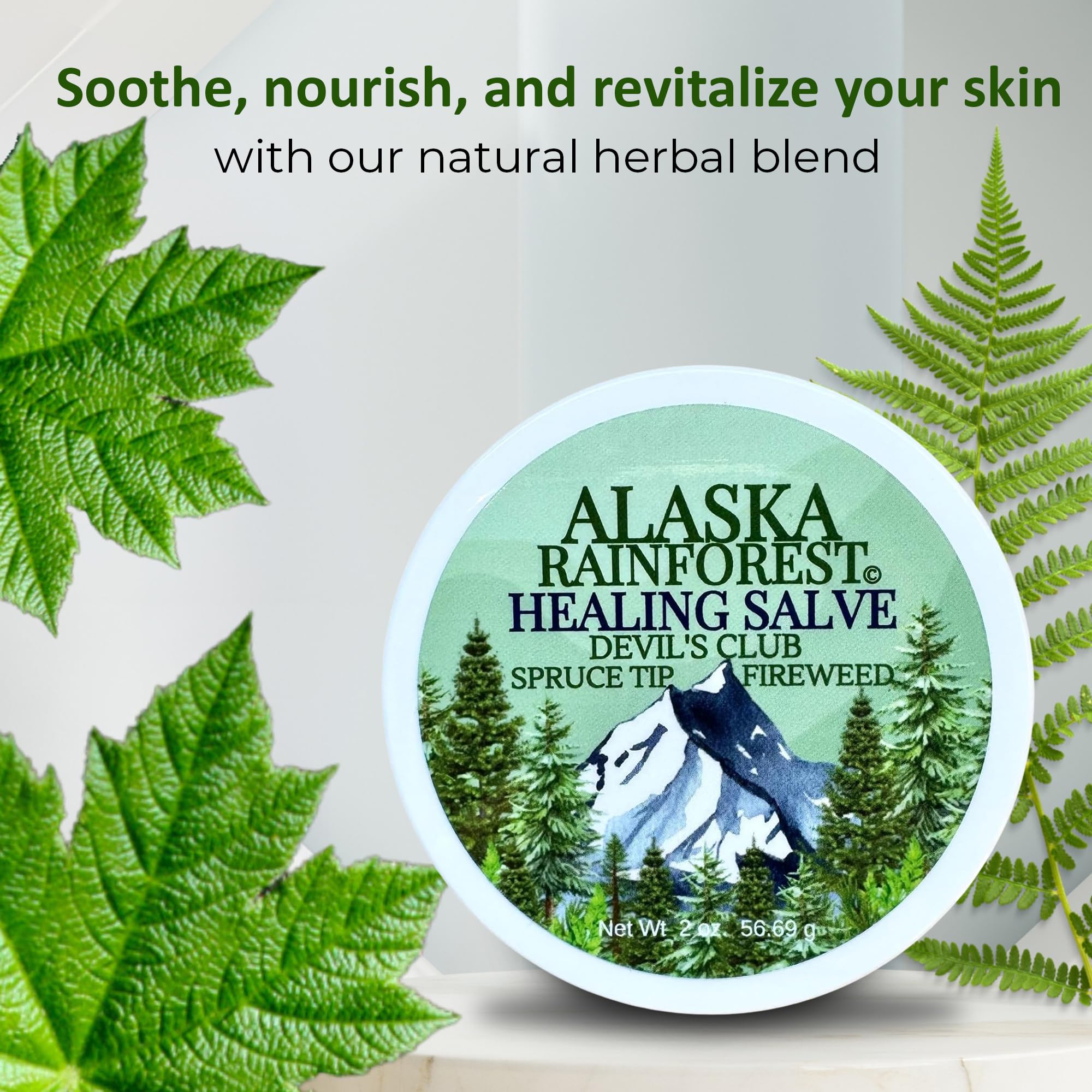 Snowy Summit Alaska Rainforest Salve - Herbal Salve for Dry Skin & Joint Relief - Natural Super Salve for Soothing Skin with Gentle Aroma - Body & Hand Salve - Muscle Rub with Alaskan Devil’s Club Oil Snowy SummitAu supplements