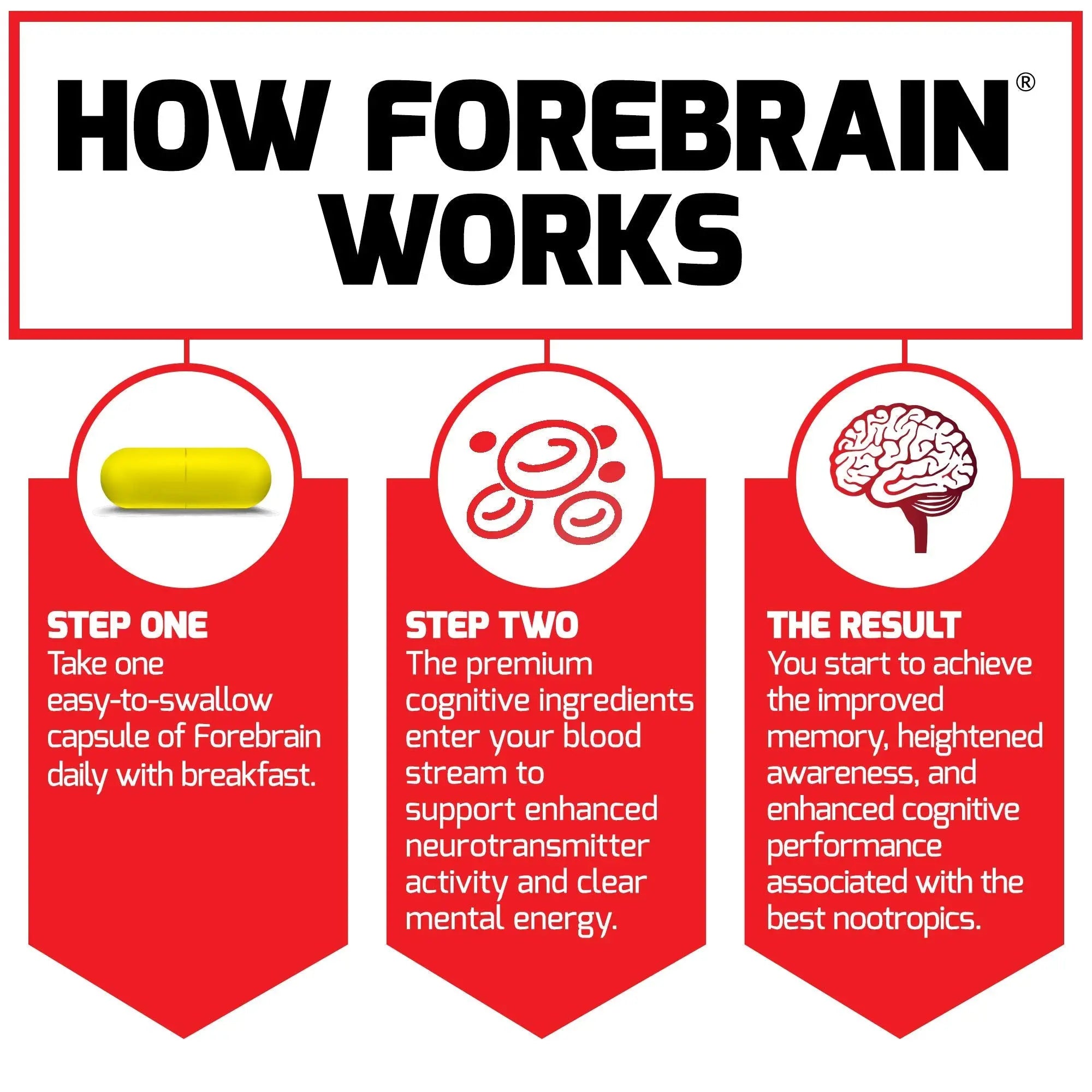 Force Factor Forebrain Nootropic Brain Supplement with Caffeine Bacopa and Huperzine A Capsules 3Pack, White, 90 Count Force Factornz supplements