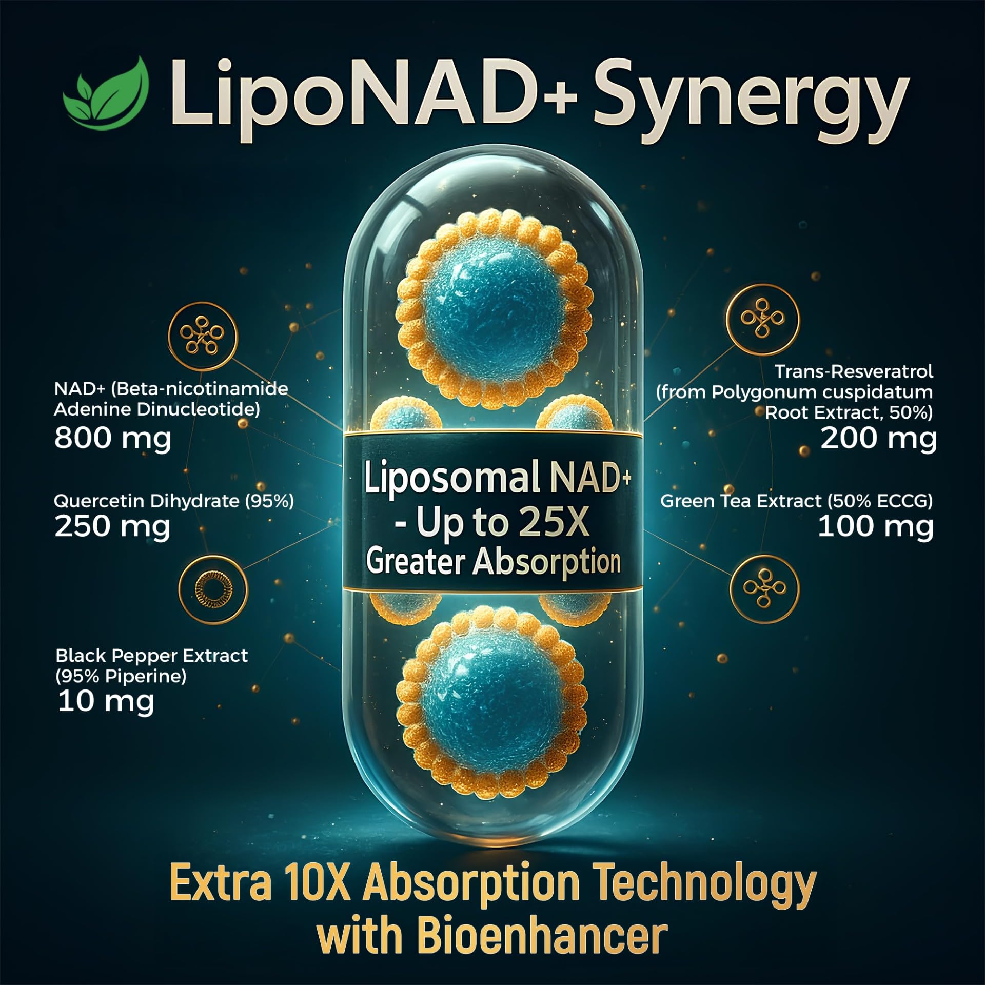 NAD+ Supplement, 1,360mg Max Strength Liposomal | Resveratrol, Quercetin, Green Tea | Cellular Energy & Healthy Aging for Men & Women | 800mg of 100% High Purity NAD+ for Energy, Focus - 90 Capsules HolistnatureAu supplements