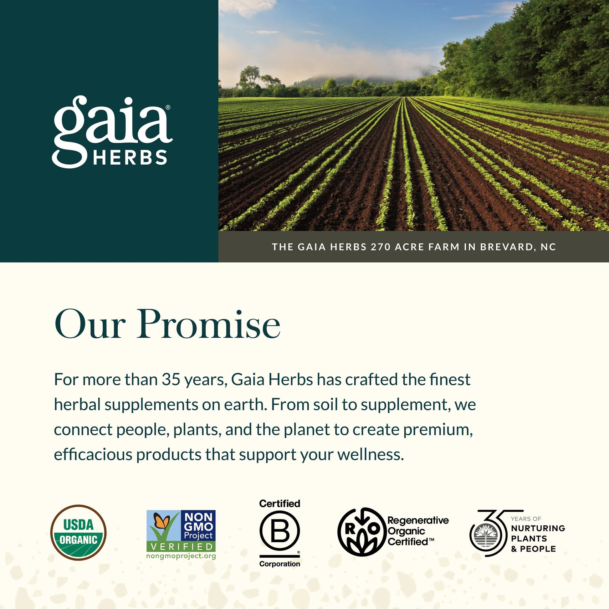 Gaia Herbs Sauerkraut Postbiotic - Gut Health & Immune Support Supplement* - Made with Fermented Sauerkraut - Free from Dairy, Soy & Gluten - 60 Vegan Liquid Phyto-Caps (30 Servings) Gaia HerbsAu supplements
