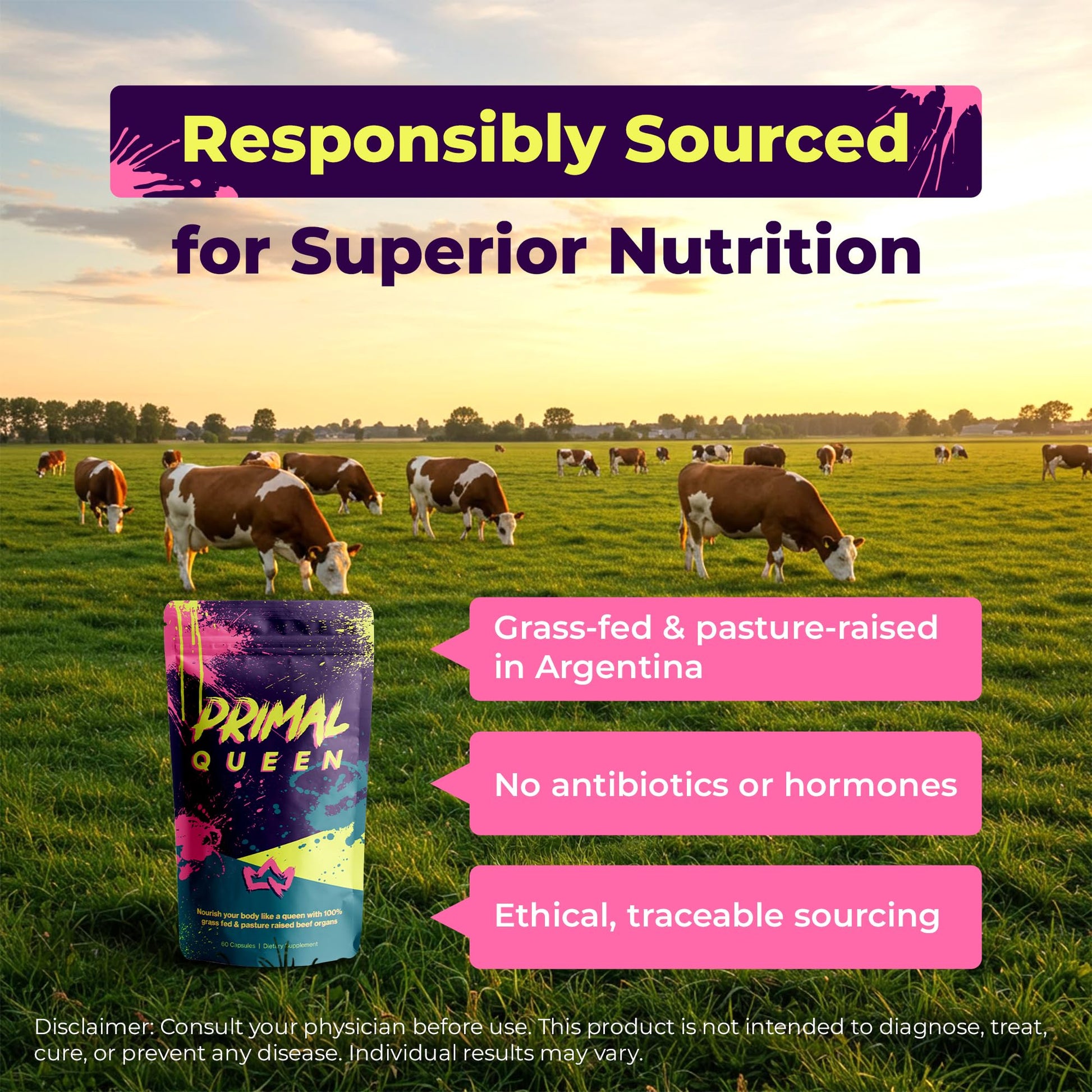 Primal Queen Female-Optimized Beef Organ Superfood Supplement (Beef Liver, Kidney, Heart, & 3 More) - 100% Grass Fed, Pasture Raised - 3rd Party & Clinically Tested Primal QueenAu supplements