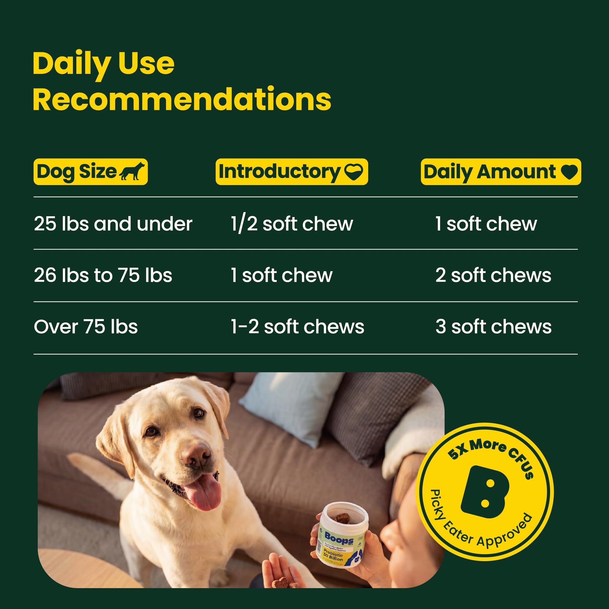 Boops Pets Probiotics for Dogs – 30 Billion CFU with Pre, Postbiotics & Digestive Enzymes – Supports Gut Health, Immunity, Loose Stools & Allergies – Filet Mignon Flavor – Vet Formulated – 60 Chews Boops PetsAu supplements