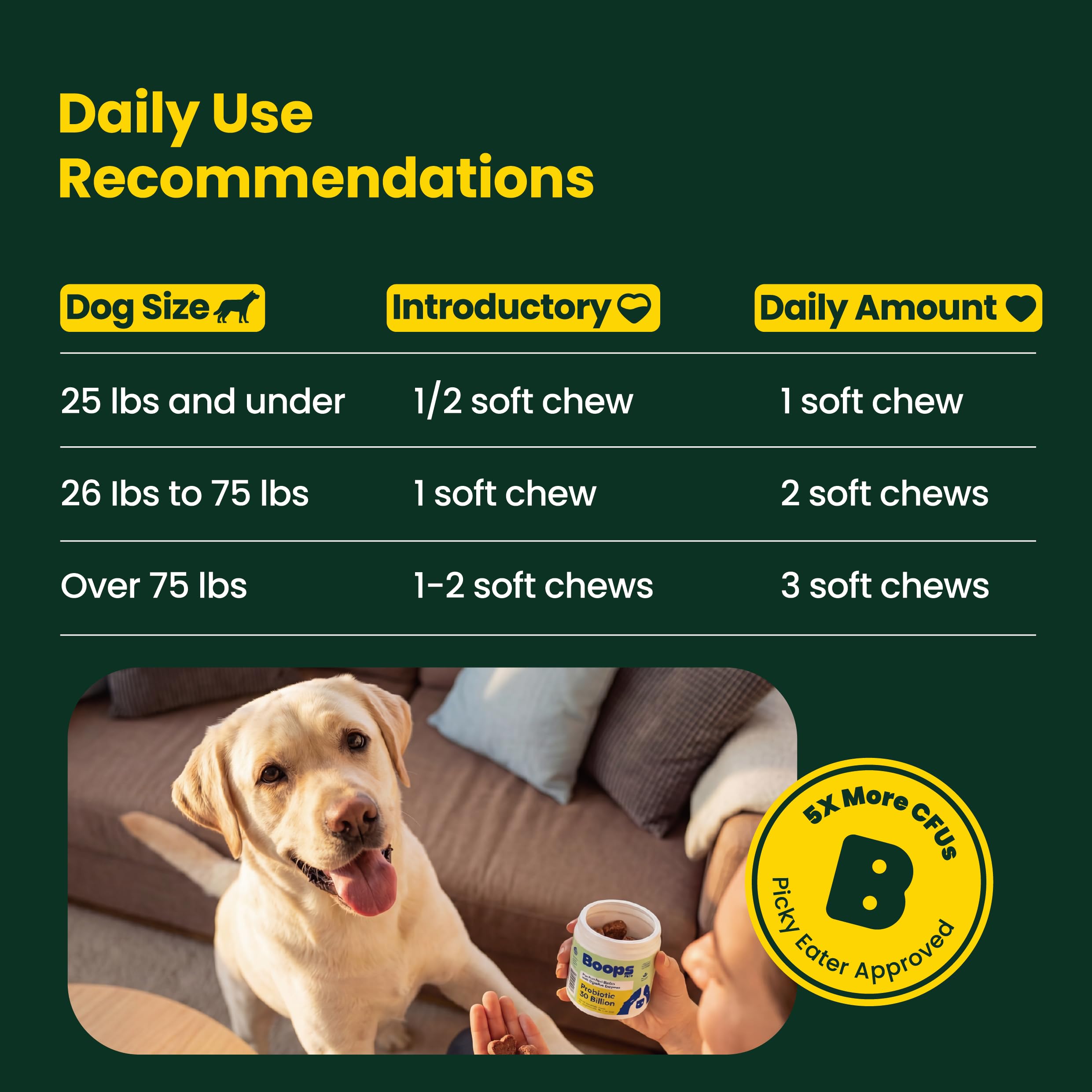 Boops Pets Probiotics for Dogs – 30 Billion CFU with Pre, Postbiotics & Digestive Enzymes – Supports Gut Health, Immunity, Loose Stools & Allergies – Filet Mignon Flavor – Vet Formulated – 60 Chews Boops PetsAu supplements