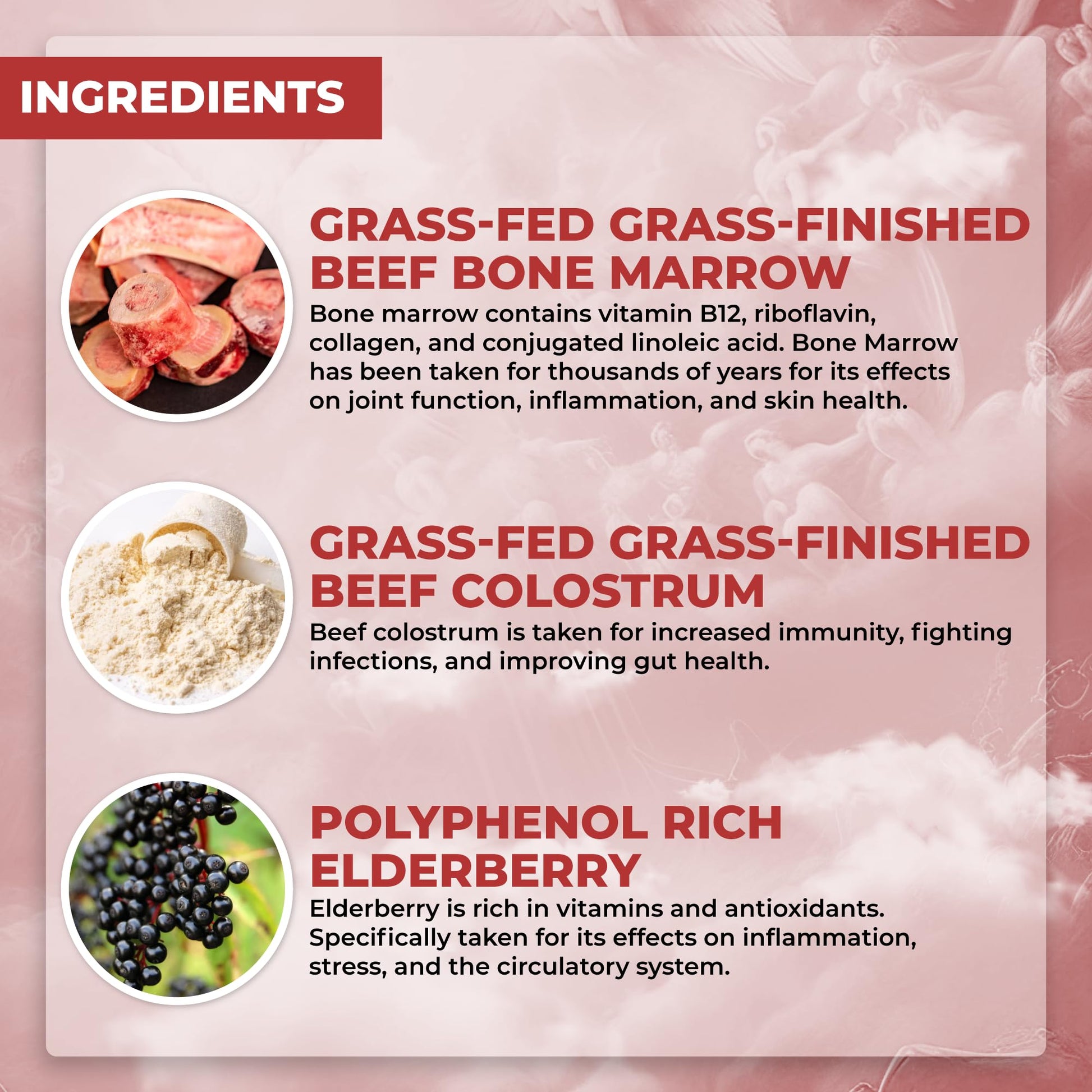 Santa Cruz Paleo, Food of the Gods Grass Fed Beef Organ Supplement for Men and Women, with Collagen, Maca Root, Colostrum, Bone Broth, Iron, Vitamin B12, Gluten Free, Keto Friendly, 30 Servings Santa Cruz PaleoAu supplements
