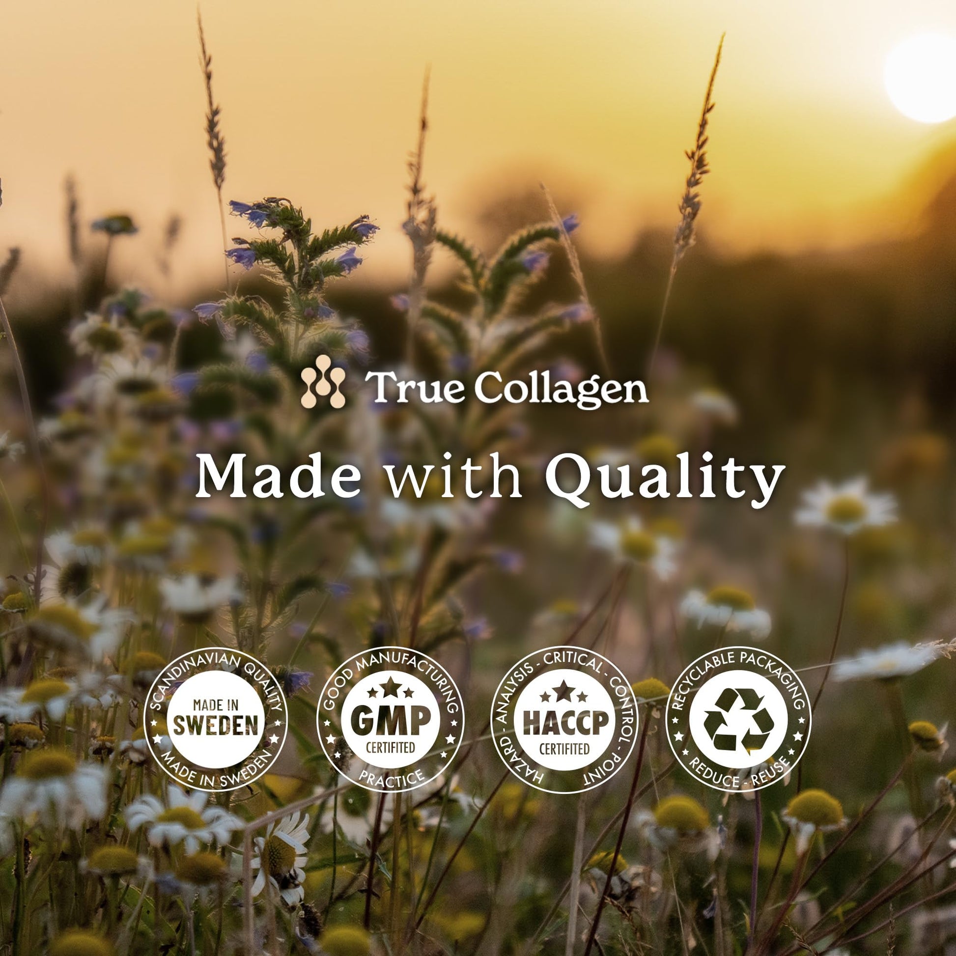 True Collagen Joints | 10,000 mg Hydrolyzed Collagen Liquid Supplement - 500 ml, 20 Day Supply | Glucosamine, MSM and Chondroitin for Healthy Joints | Fat-Free, Sugar-Free, 100% Natural Berry Flavor True CollagenAu supplements