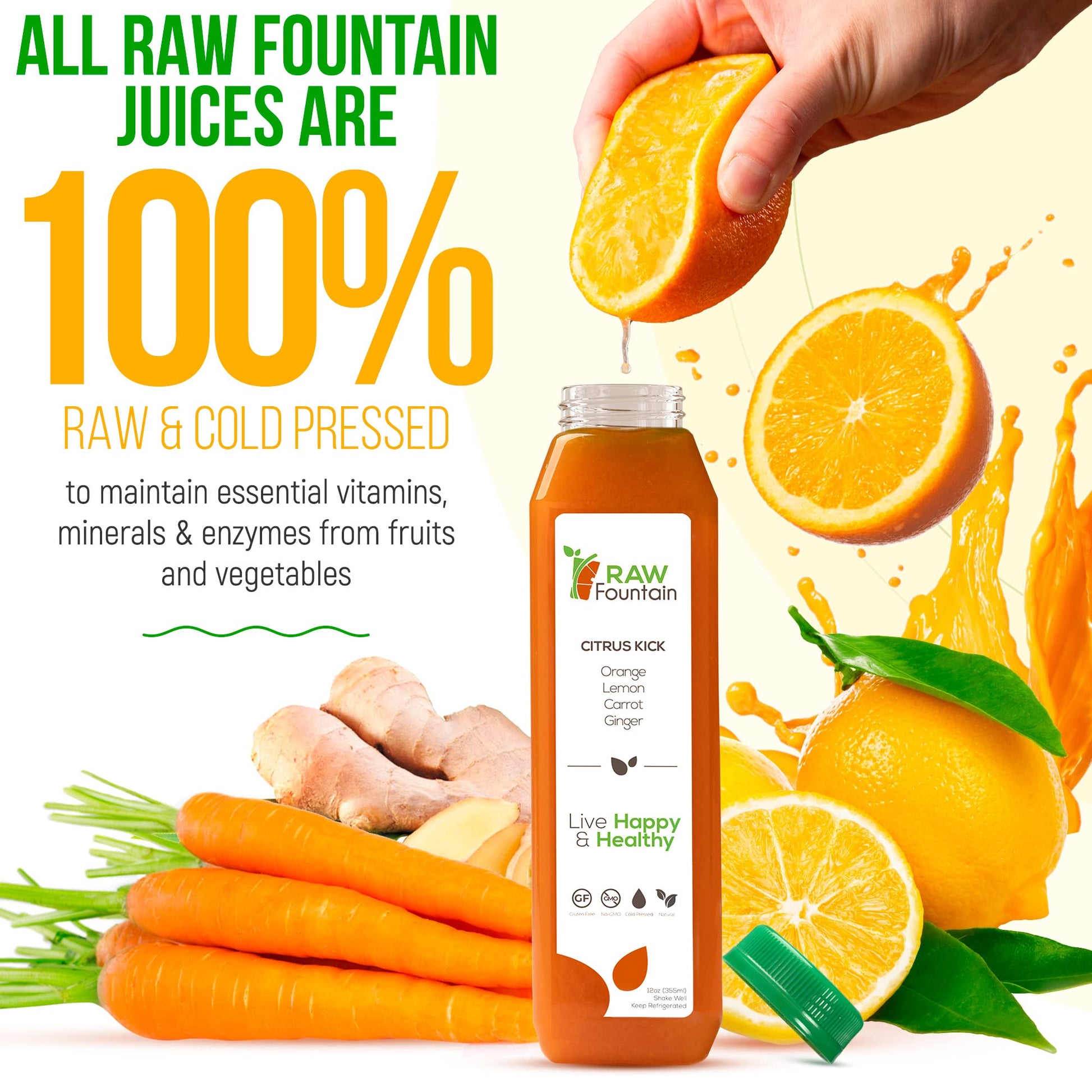 Raw Fountain 1 Day Juice Cleanse, All Natural Detox Cleanse, Cold Presssed Fruit Raw FountainUS supplements