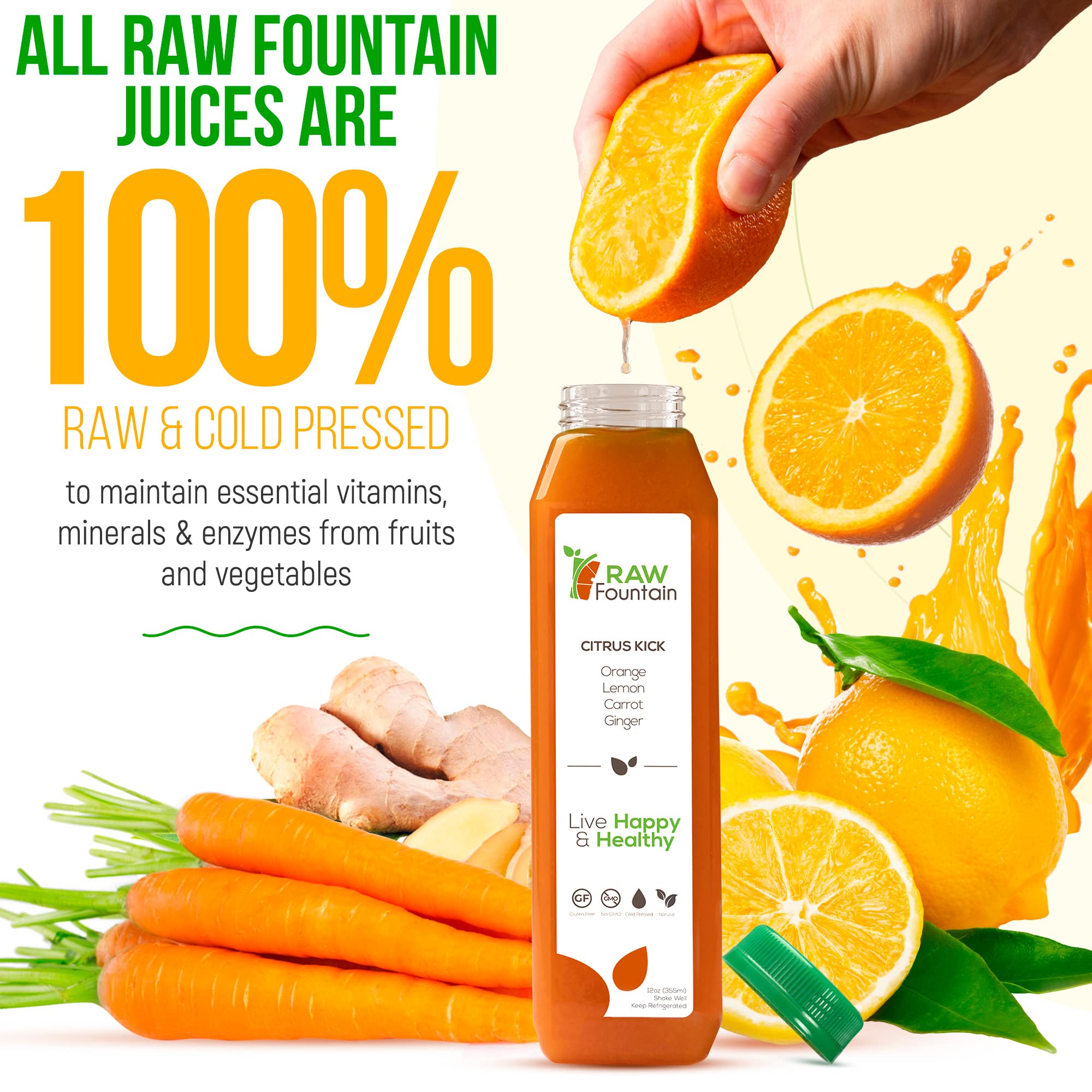 Raw Fountain 1 Day Juice Cleanse, All Natural Detox Cleanse, Cold Presssed Fruit Raw FountainUS supplements