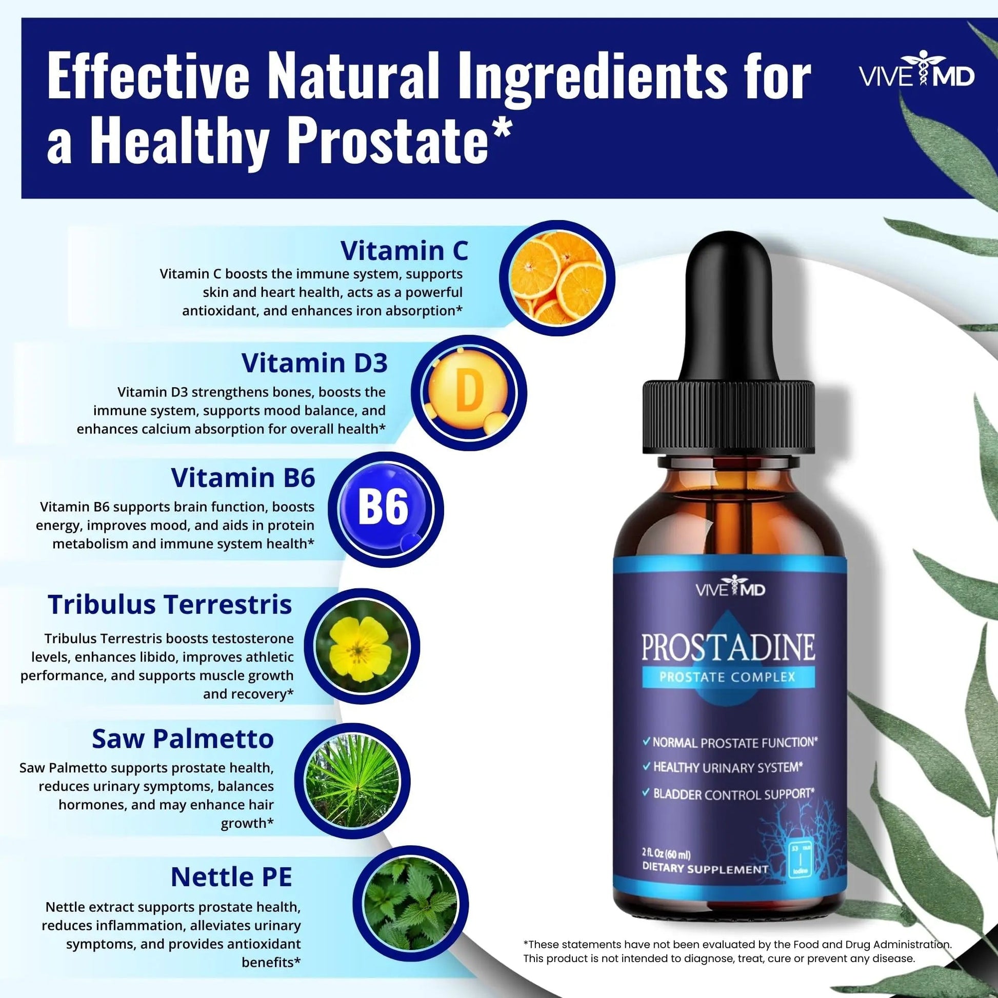 VIVE MD Prostadine Drops for Prostate Health, Bladder Urinating Issues - Prostadine Official Drop Formula - Extra Strength with Pomegranate, Prostadine Reviews (Package of 5) VIVE MDAu supplements