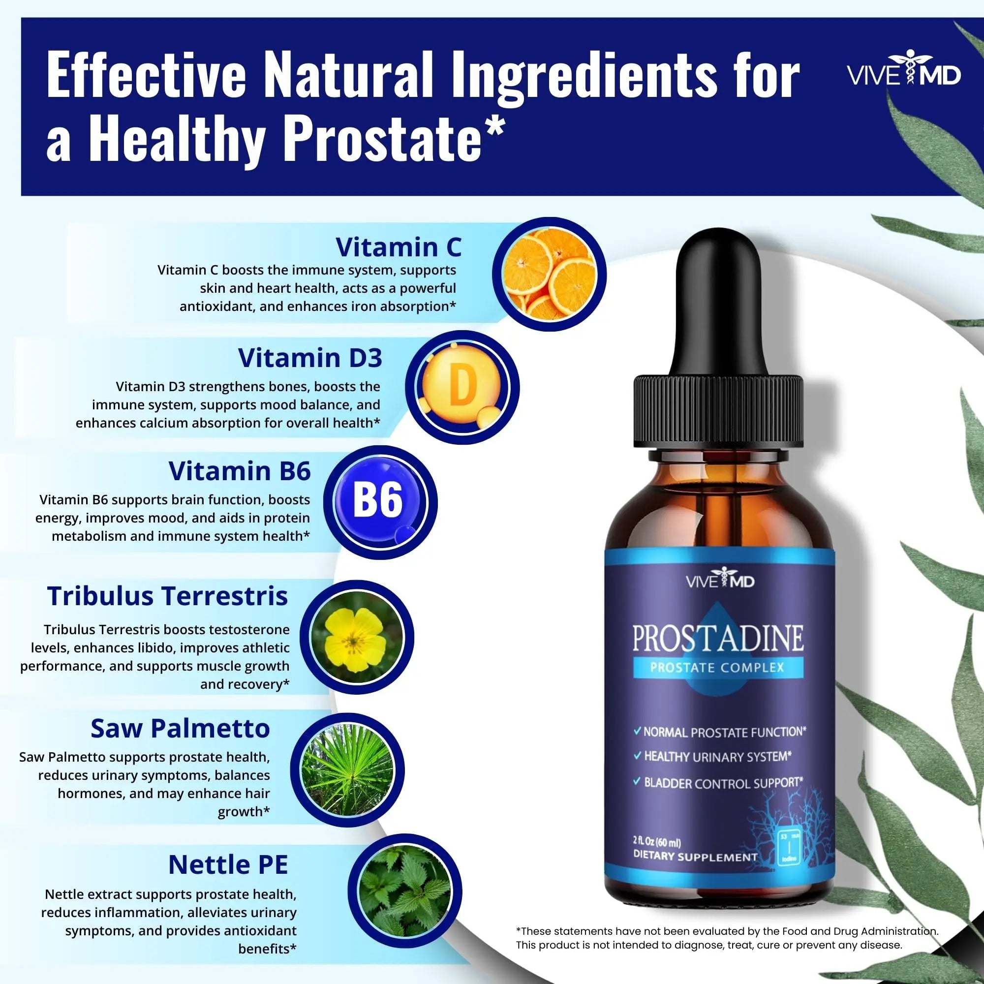 VIVE MD Prostadine Drops for Prostate Health, Bladder Urinating Issues - Prostadine Official Drop Formula - Extra Strength with Pomegranate, Prostadine Reviews (Package of 1) VIVE MDAu supplements
