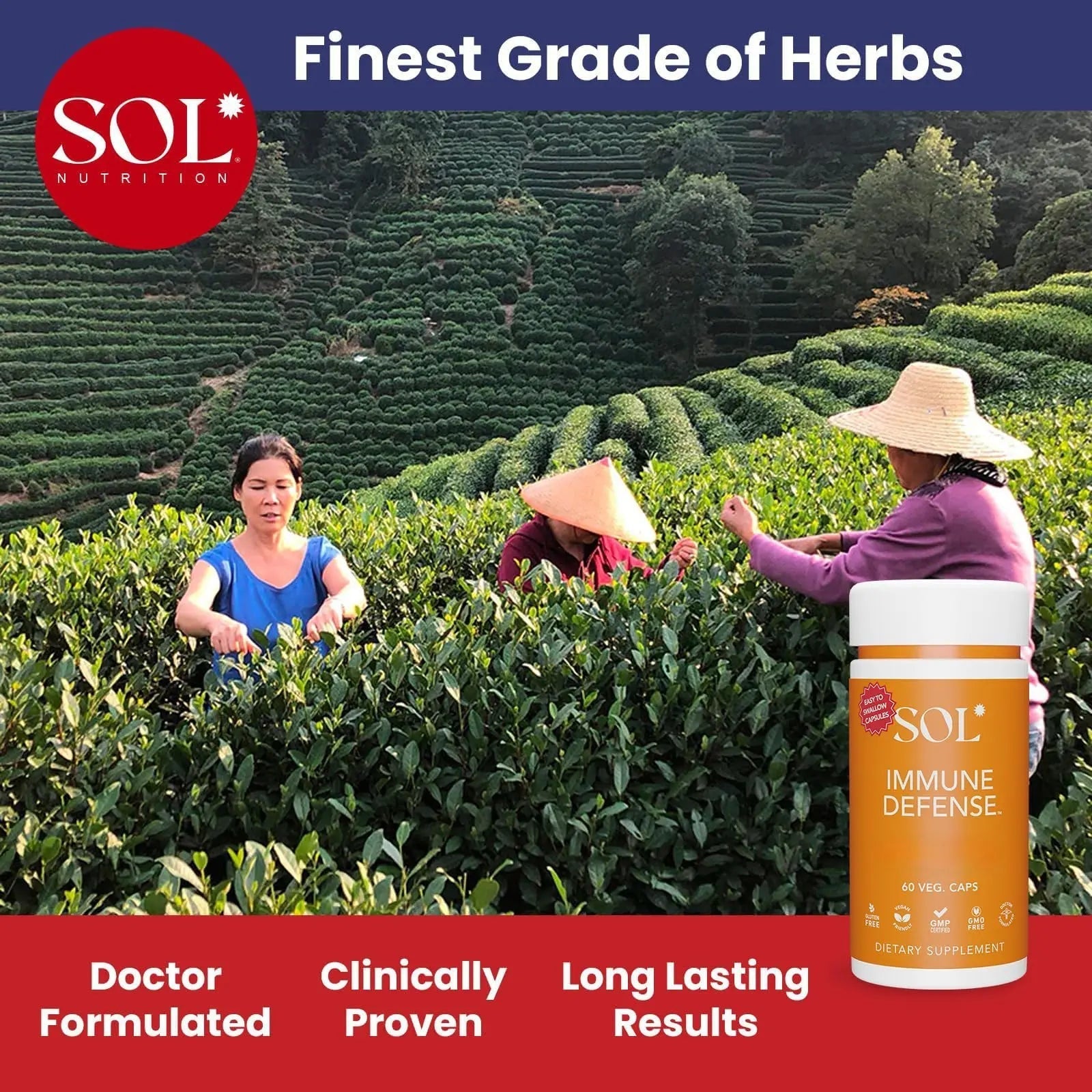 Immune Defense Supplement: Clears Allergens, Builds Strong Immune System, 15X More Powerful, Astragalus, Goto Kola, Andrographis Sol NutritionAu supplements