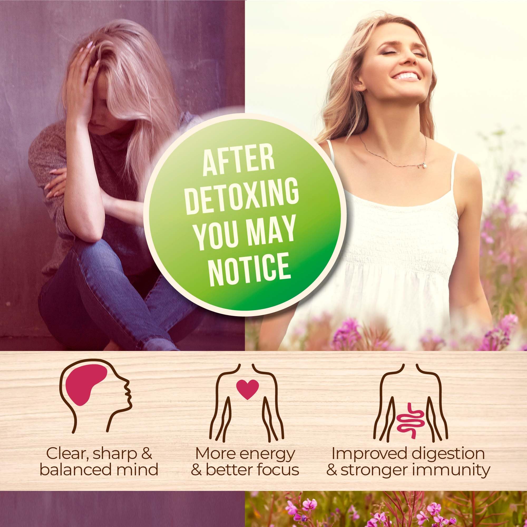 Numami Organic Detox Blueberry Smoothie Powder with Healthy Spirulina, Atlantic Dulse NumamiAu supplements