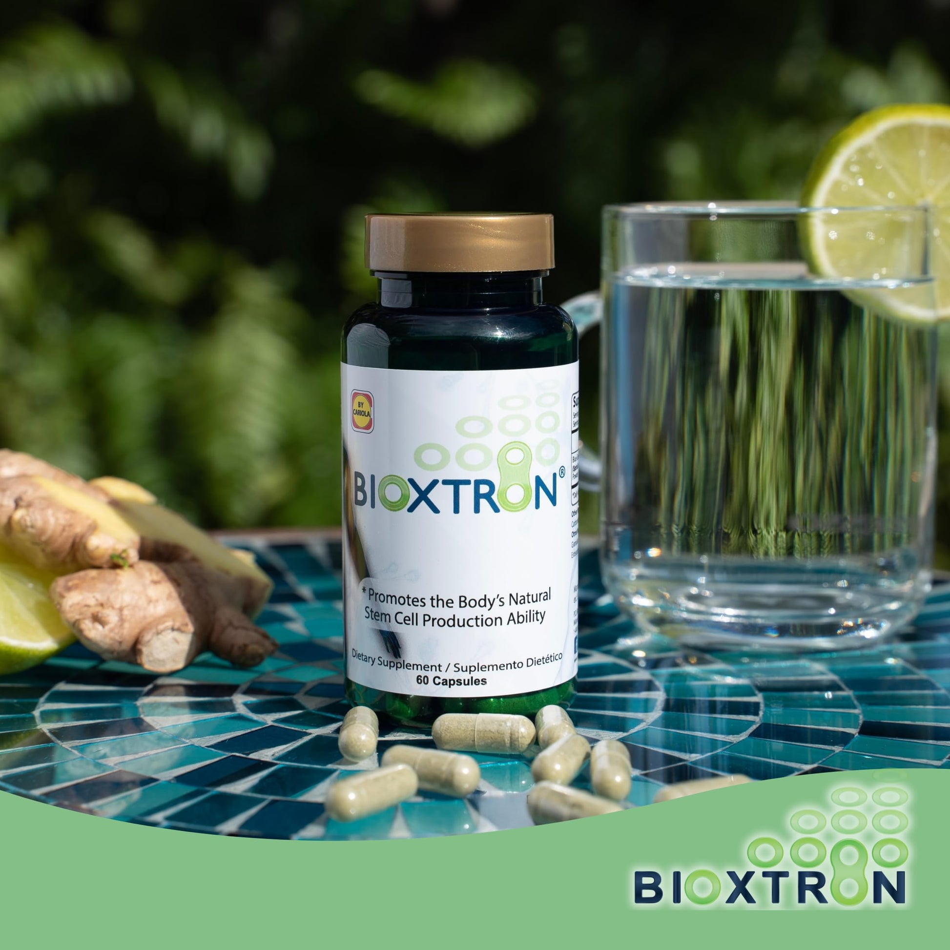 Bioxtron Natural AFA Stem Cell Supplement - Joint Support & Muscle Pain - Immune System Support - Support Energy Levels - Natural Blue Green Algae Spirulina - Pack of 2-120 Caps BioxtronAu supplements