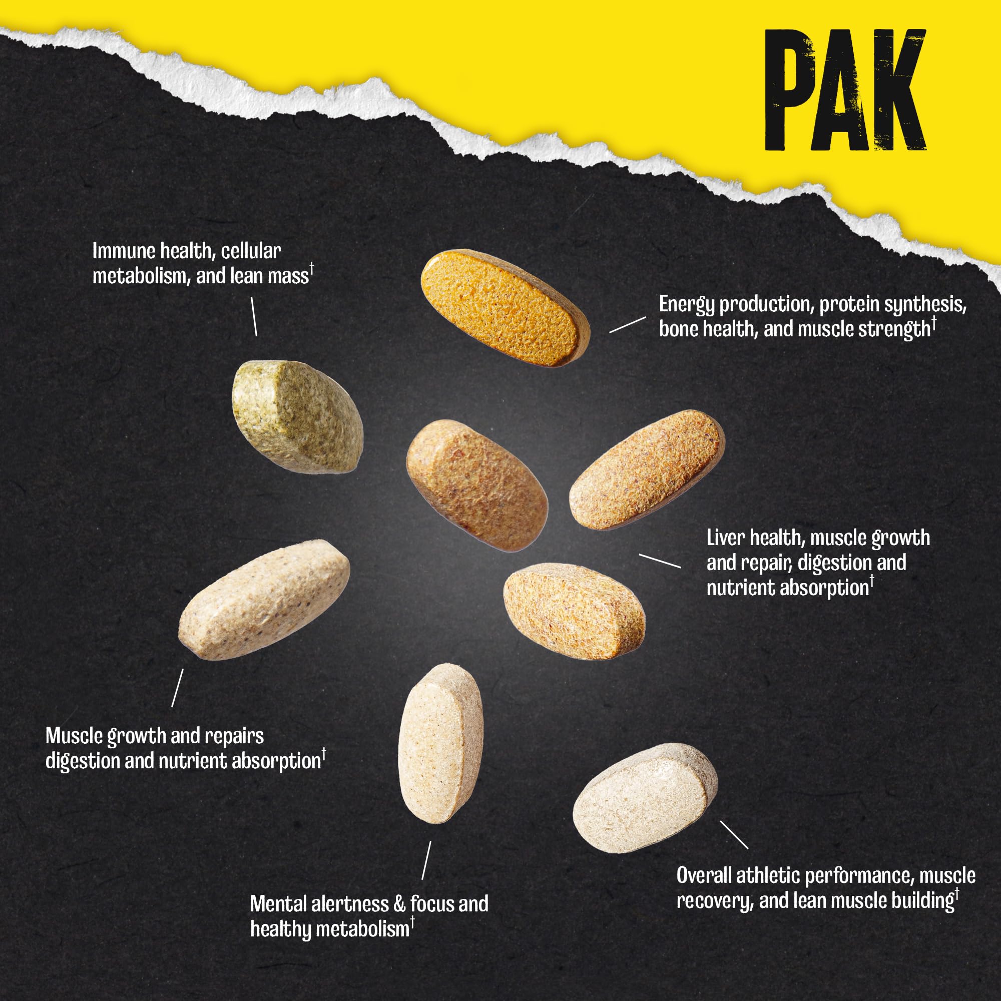 Animal Pak - Convenient Multivitamin for Men & Women Daily All-in-One Vitamin & Supplement Pack - Zinc, Vitamins C, B, D, Amino Acids, and Immune Support - Sports Nutrition Performance - 44 Count AnimalAu supplements