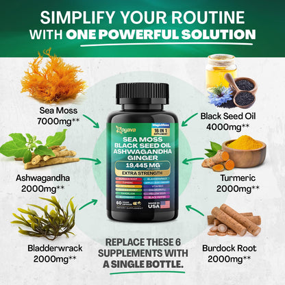 Zoyava Sea Moss 16-in-1 and Collagen 14-in-1 Bundle ZoyavaUS supplements
