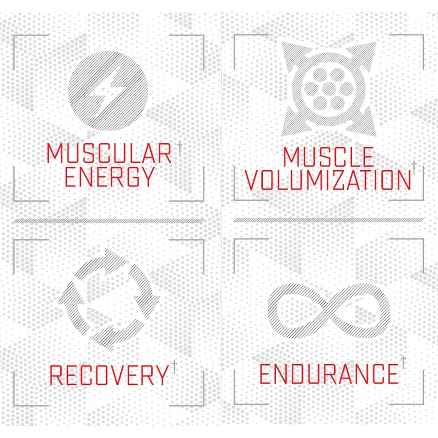 Purus Labs Foundation Series Citrulline Malate Powder | Active Amino Acid L-Citrulline Purus LabsUS supplements