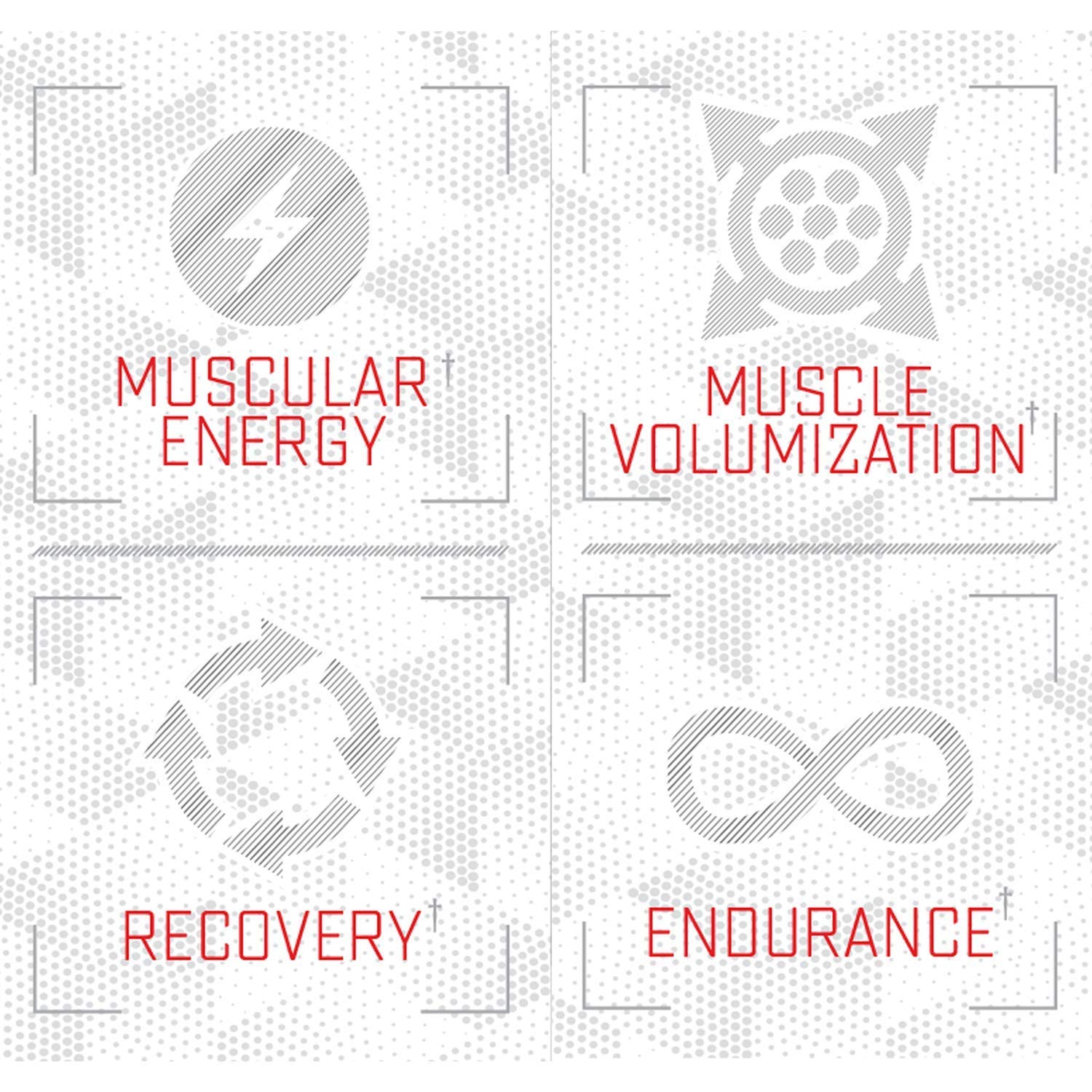 Purus Labs Foundation Series Citrulline Malate Powder | Active Amino Acid L-Citrulline Purus LabsAu supplements