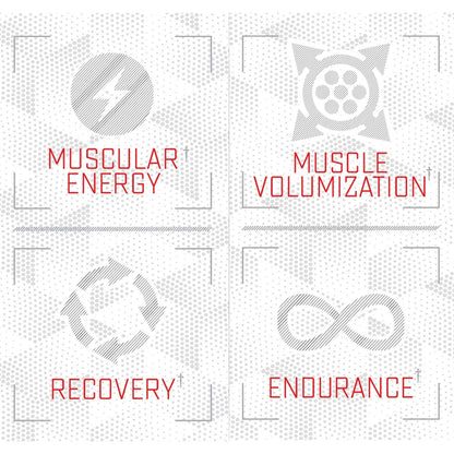 Purus Labs Foundation Series Citrulline Malate Powder | Active Amino Acid L-Citrulline Purus LabsUS supplements