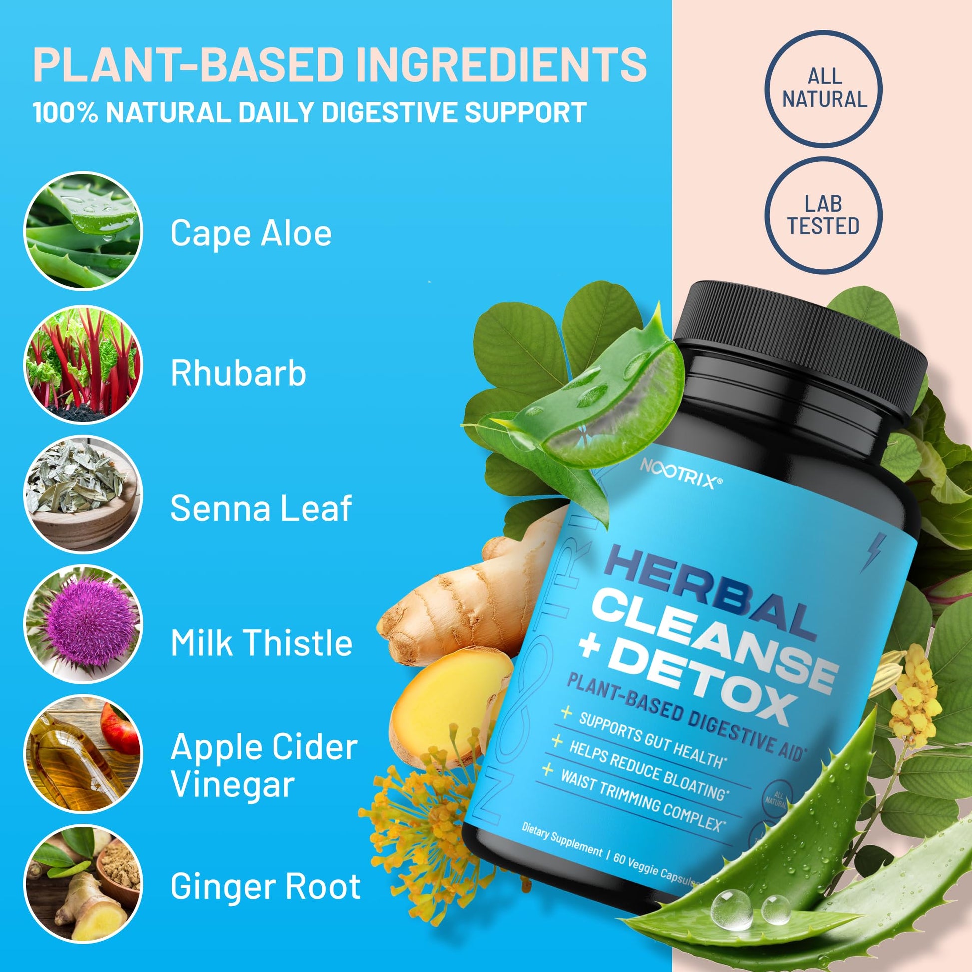 Nootrix Herbal Cleanse + Detox Cleanse for Weight Loss Products | 15 Day Gut Cleanse NootrixUS supplements