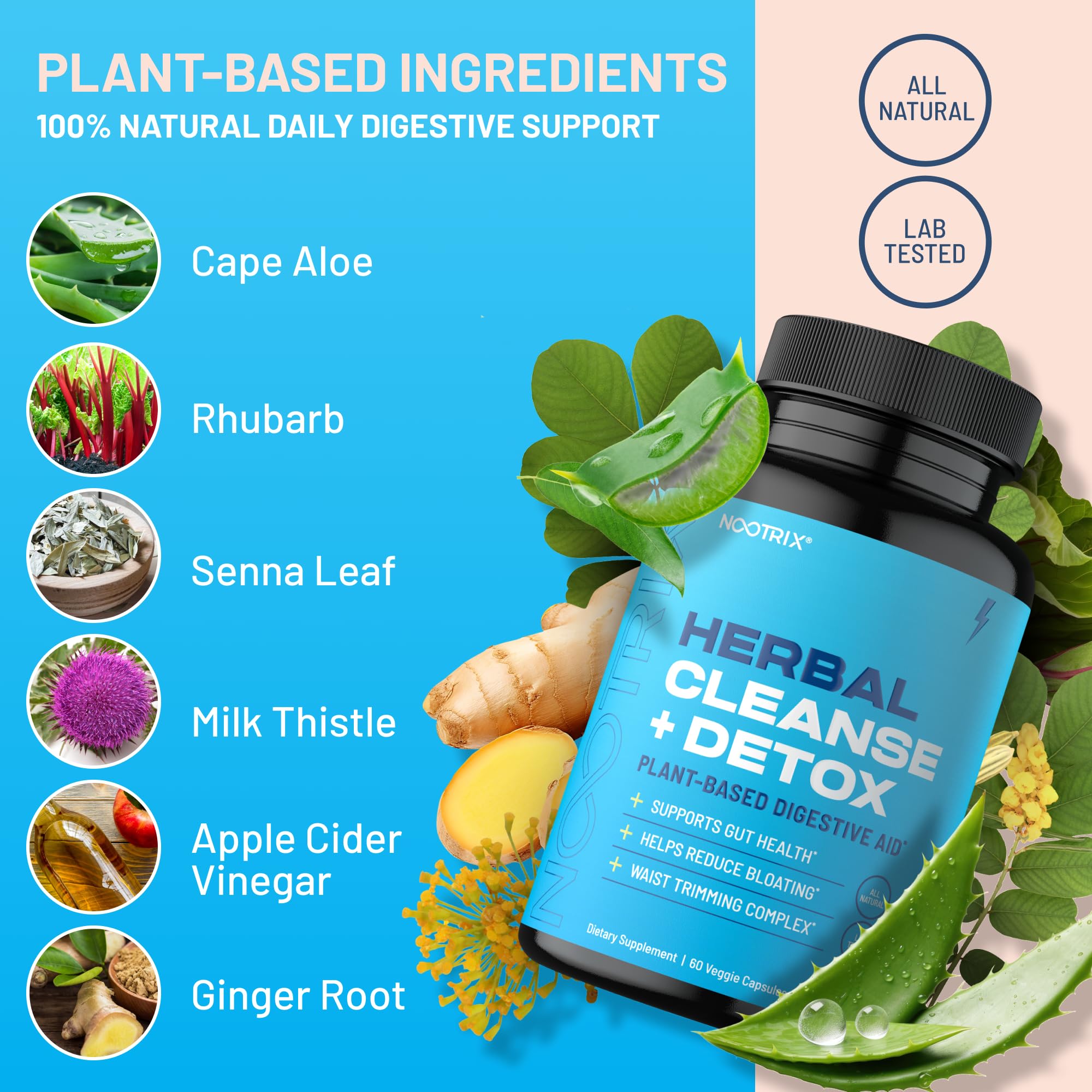 Nootrix Herbal Cleanse + Detox Cleanse for Weight Loss Products | 15 Day Gut Cleanse NootrixUS supplements
