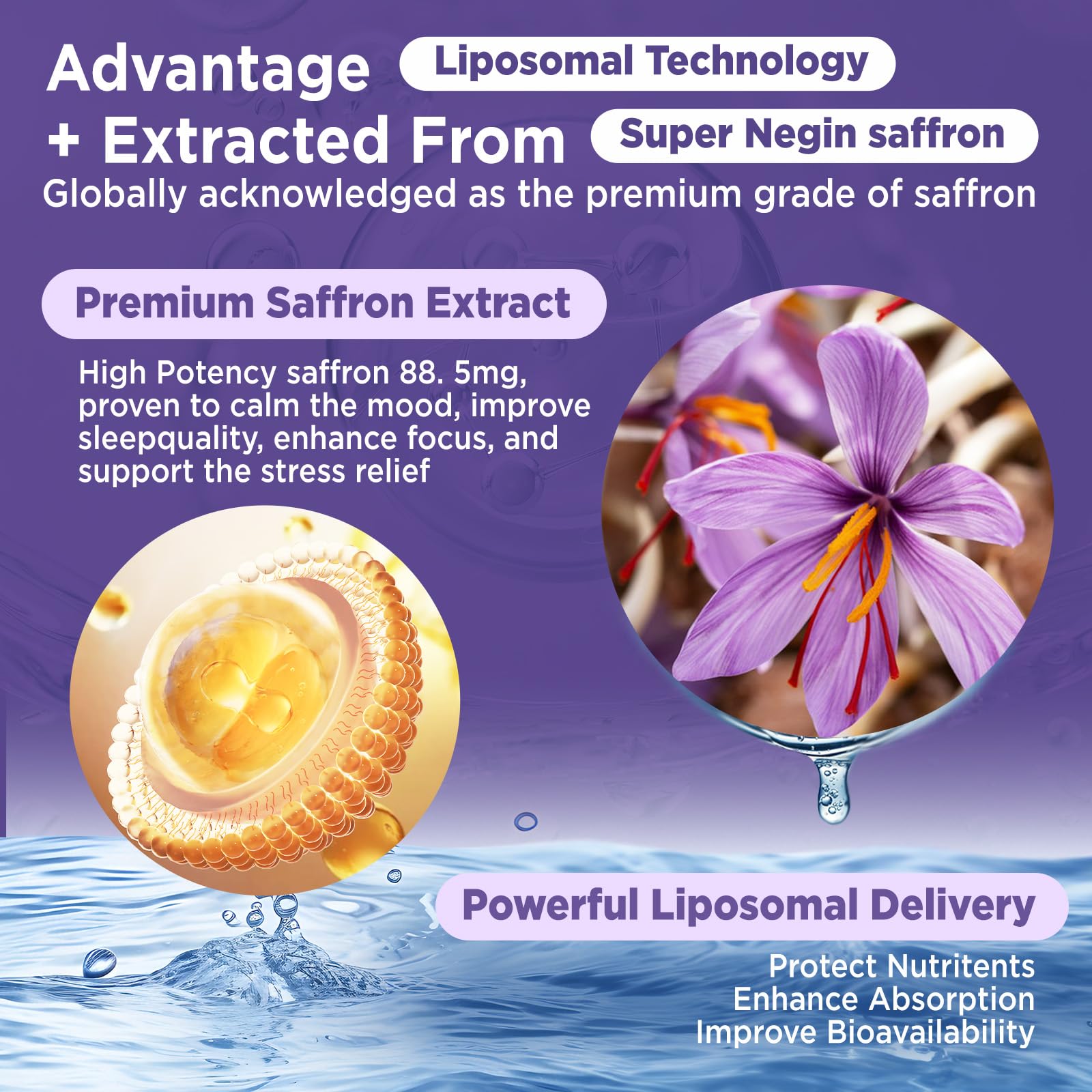 HOLLEGEND Liposomal Saffron Drops for Kids & Adults, Organic Saffron Supplement w/Magnesium, L-Theanine and Vitamins for Stress, Focus, Vision and Energy Support, Vegan, Natural Lemon Flavor, 2 FL OZ HOLLEGENDAu supplements