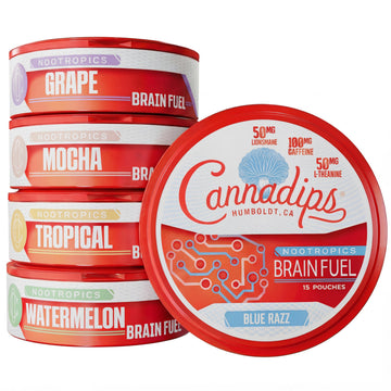 Cannadips - Brain Fuel Variety Pack - Nootropic Caffeine Pouches - 50mg Lion's Mane, 100mg Caffeine, 50mg L-Theanine, No Sugar - Clean Energy Brain Fuel for Cognitive Performance, Made in USA (5-PACK) CannadipsAu supplements