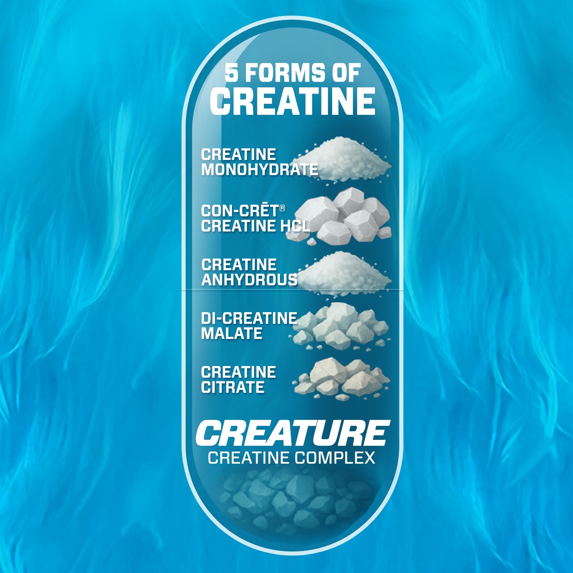 CREATURE® Creatine Complex - Creatine Monohydrate Capsules with 5 Types of Creatine Including Con-Crēt® Creatine HCL, Promotes Muscle, Strength, Endurance, Brain Health, 180 Veggie Caps, 60 Servings CREATUREAu supplements
