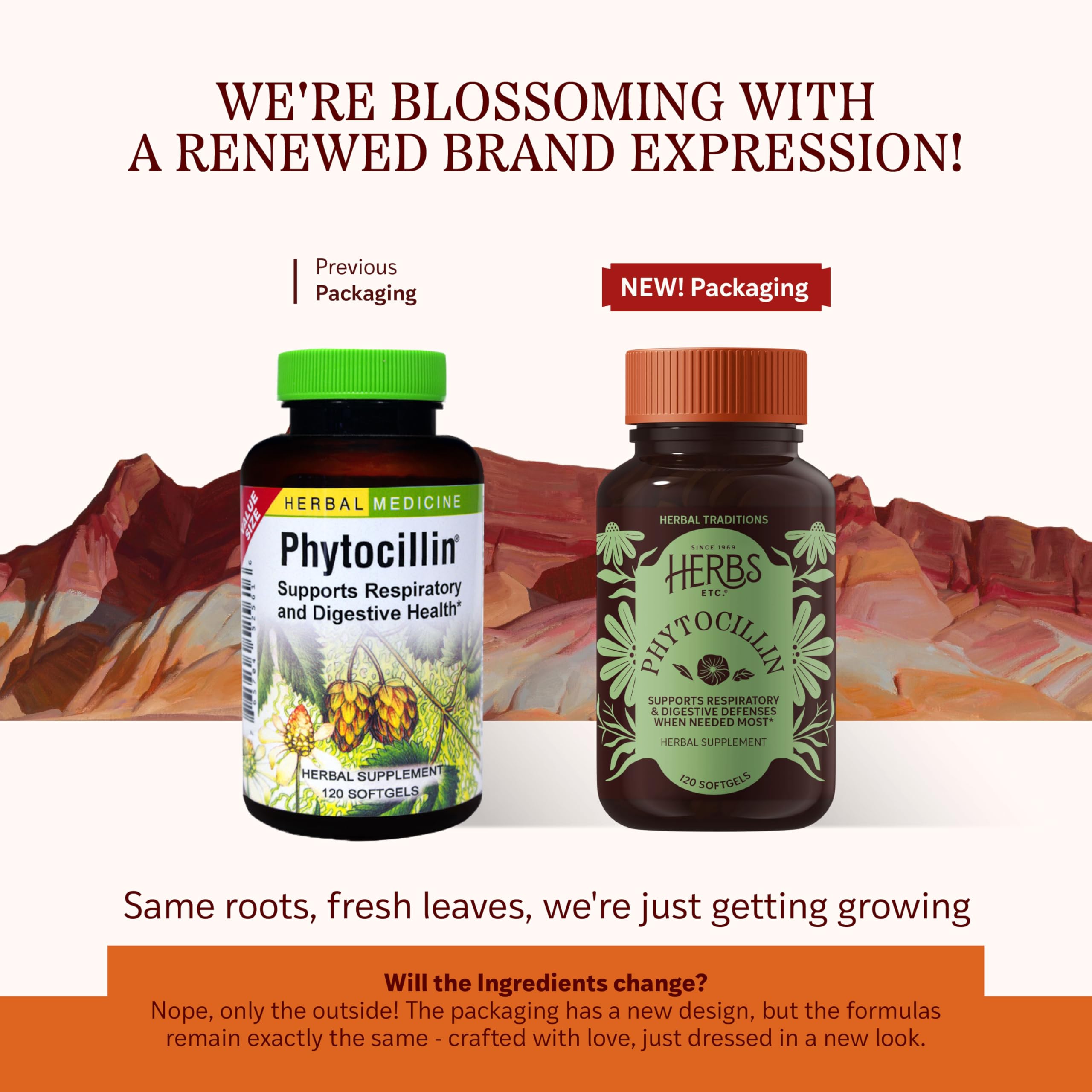 Herbs Etc. Phytocillin - Respiratory & Digestive Health Support Supplement - Herbal Formula to Support Digestion - Support Healthy Breathing - 120 Softgels (120 Servings) Herbs Etc.Au supplements