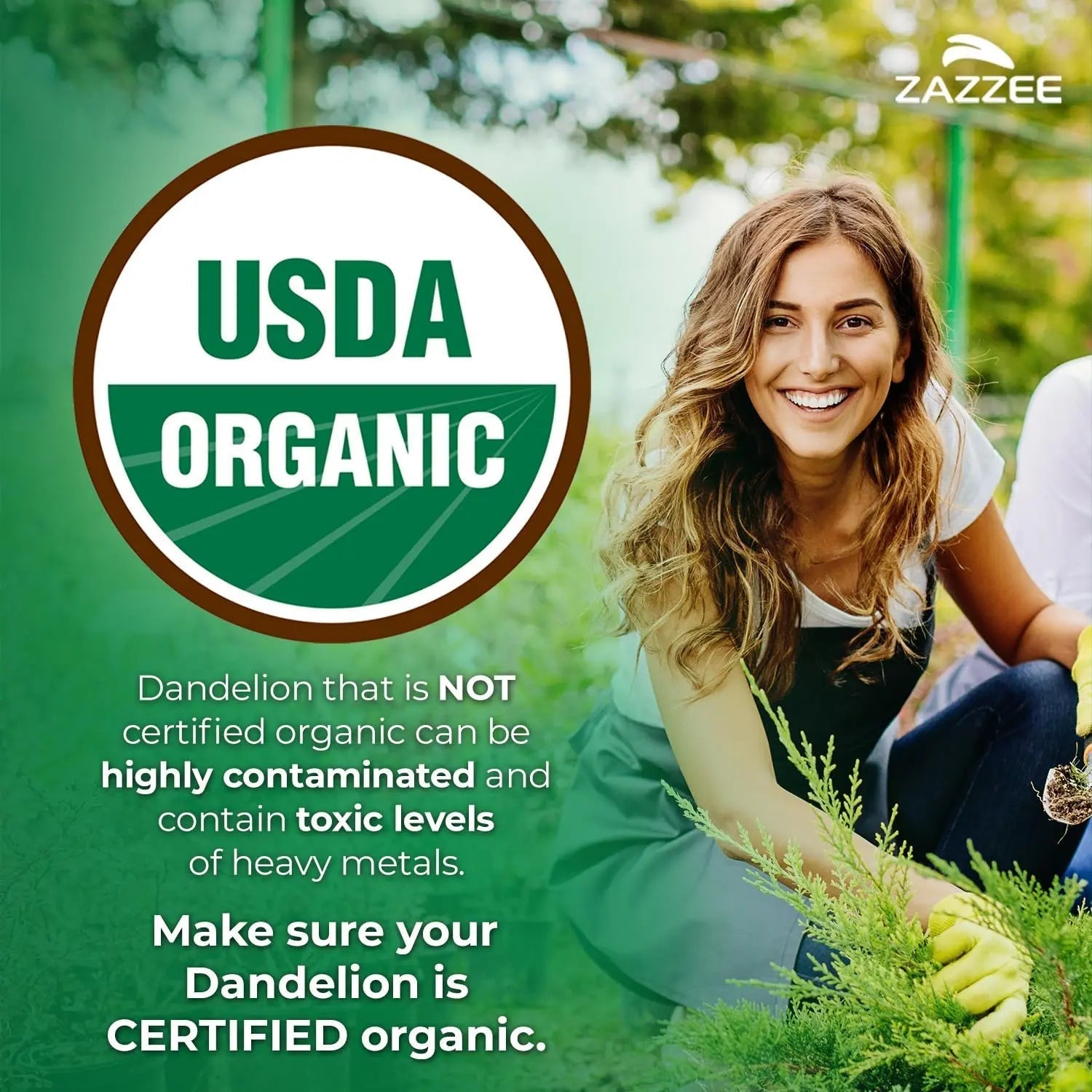 Zazzee Urinary Tract Cleanse & Detox Bundle | USDA Organic Dandelion Root Extract Capsules Plus D-Mannose 1000mg Capsules for UT & Bladder Cleansing ZazzeeAu supplements