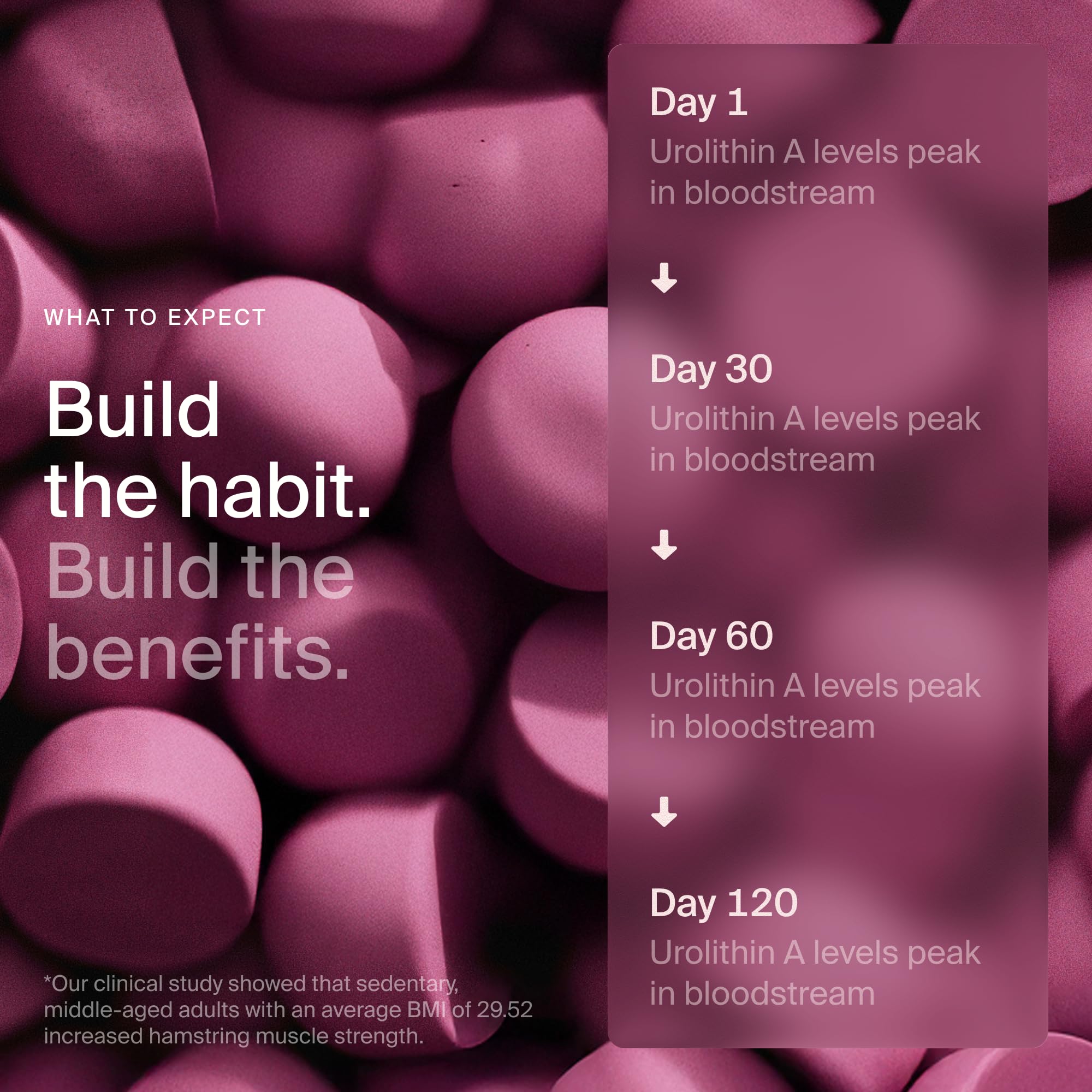 Timeline Mitopure Urolithin A Supplement Gummies - Clinically Proven Support for Healthy Aging Cellular Energy Muscle Strength and Longevity TimelineAu supplements