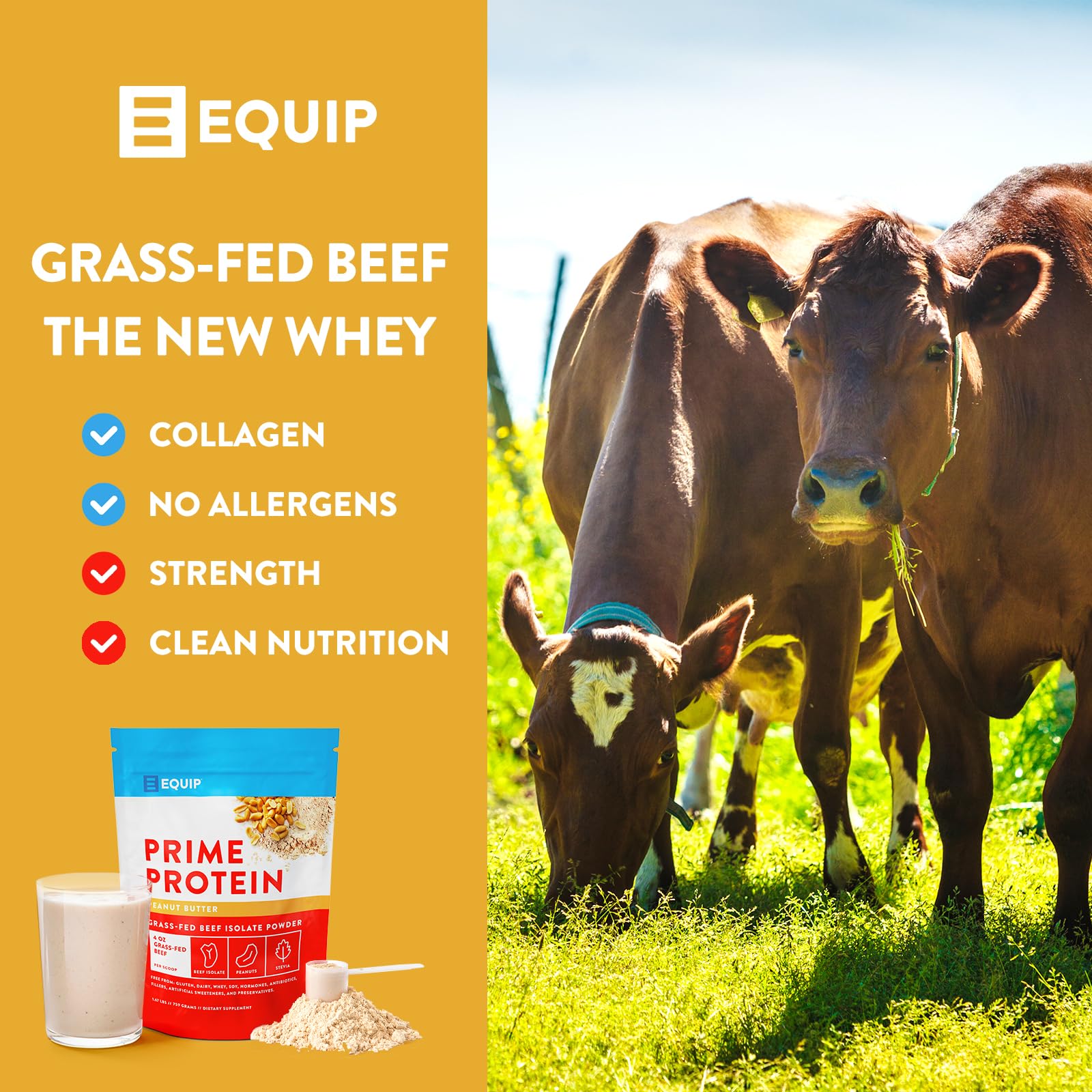 Equip Foods Prime Protein - Grass Fed Beef Protein Powder Isolate - Paleo and Keto Friendly EquipUS supplements