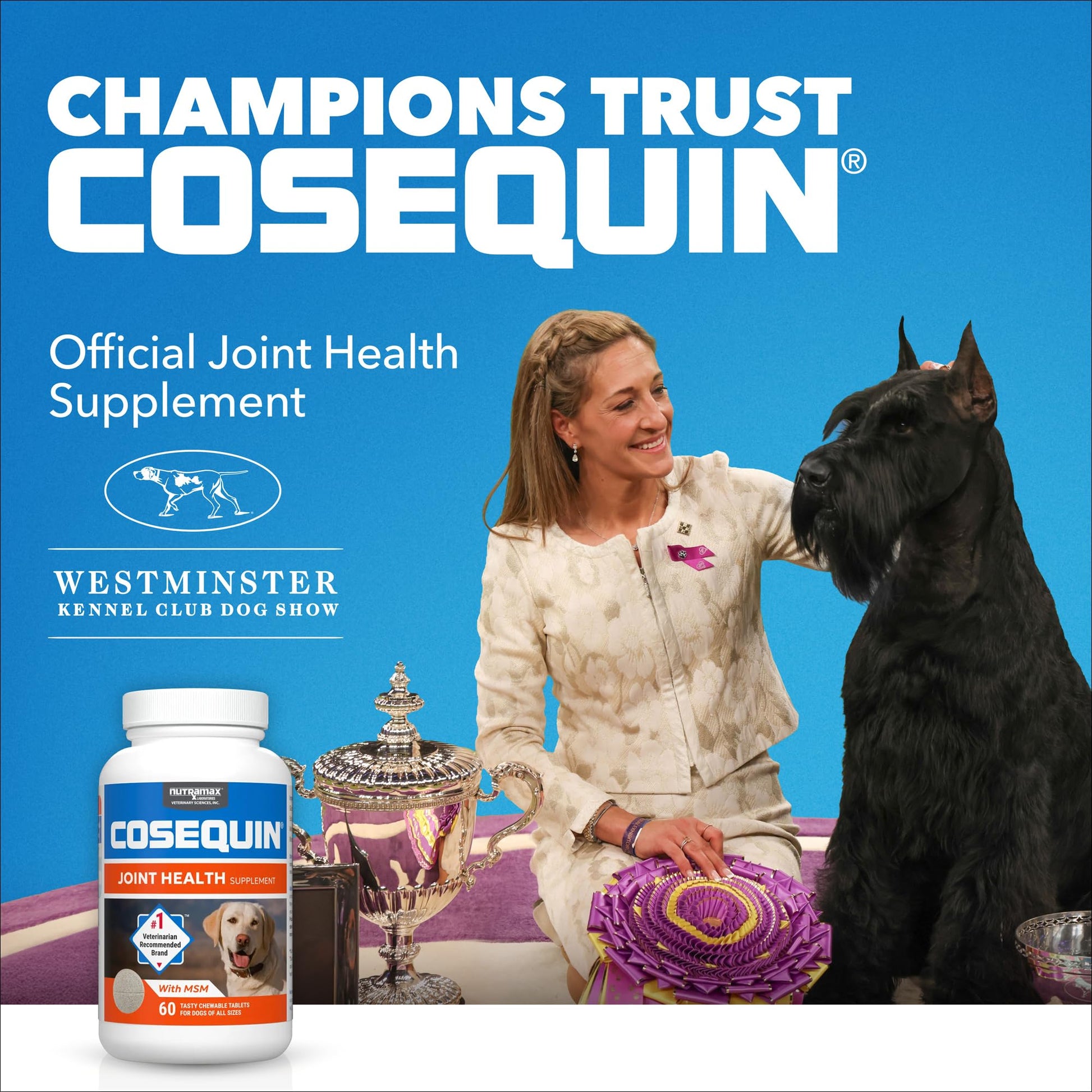 Nutramax Laboratories Cosequin Maximum Strength Joint Health Supplement for Dogs - With Glucosamine, Chondroitin, and MSM, 2 Pack, 264 Total Chewable Tablets Nutramax LaboratoriesAu supplements