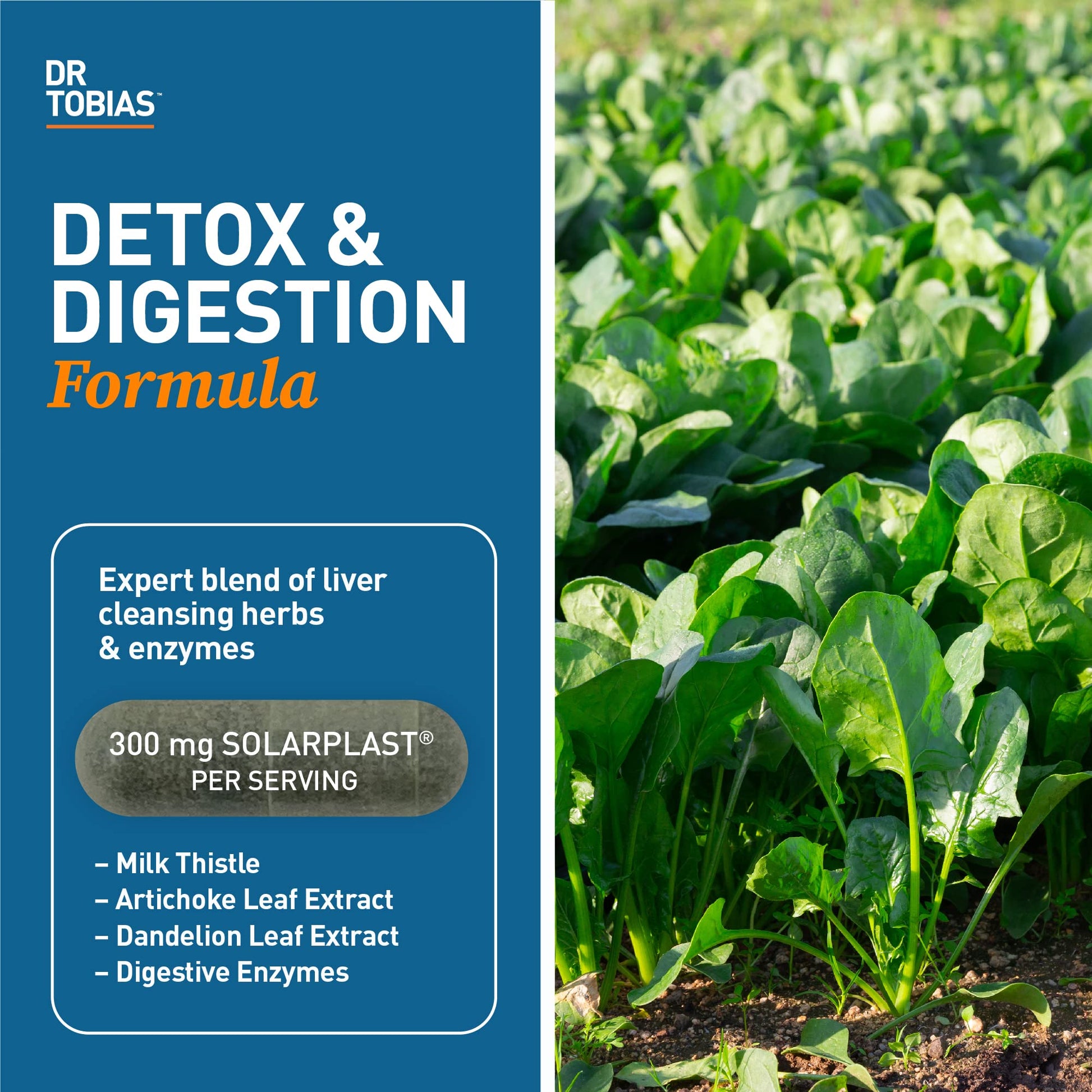 Dr. Tobias Liver 21 Day Cleanse, Herbal Liver Detox Cleanse with Solarplast, Artichoke Extra Dr. TobiasUS supplements