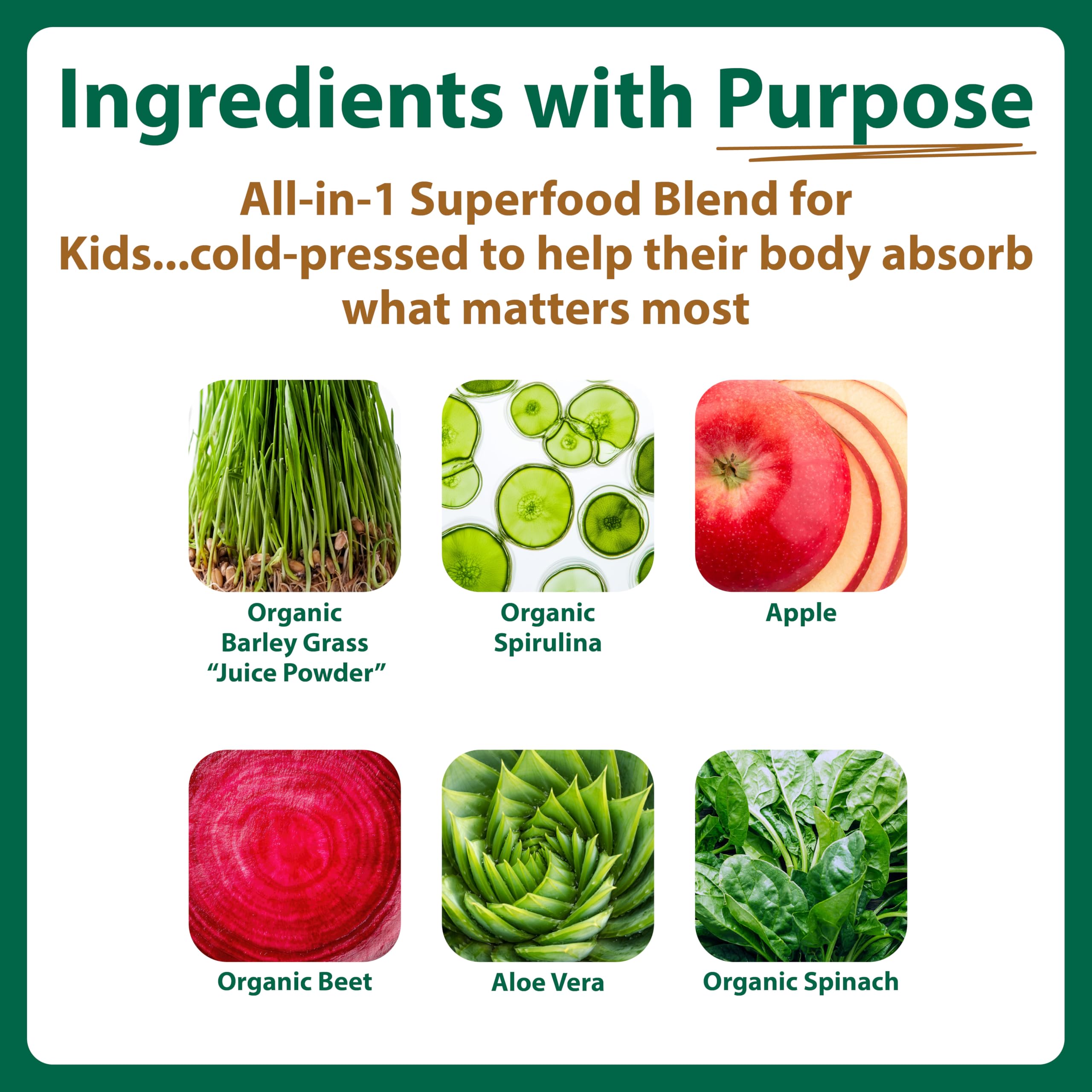 MacroLife Naturals MacroCoco Super Greens Drink, Chocolate Powder Superfood for Kids & Teens - Whole Food Fruit & Vegetable Multi-Vitamins Probiotics Digestive Enzymes & Fiber Supplement - 32 Servings MacroLife NaturalsAu supplements