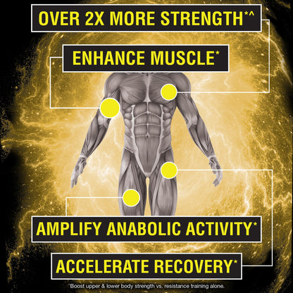 Nugenix Catalyst - Enhanced Muscle Builder and Muscle Recovery, Train Harder, Increase NugenixUS supplements