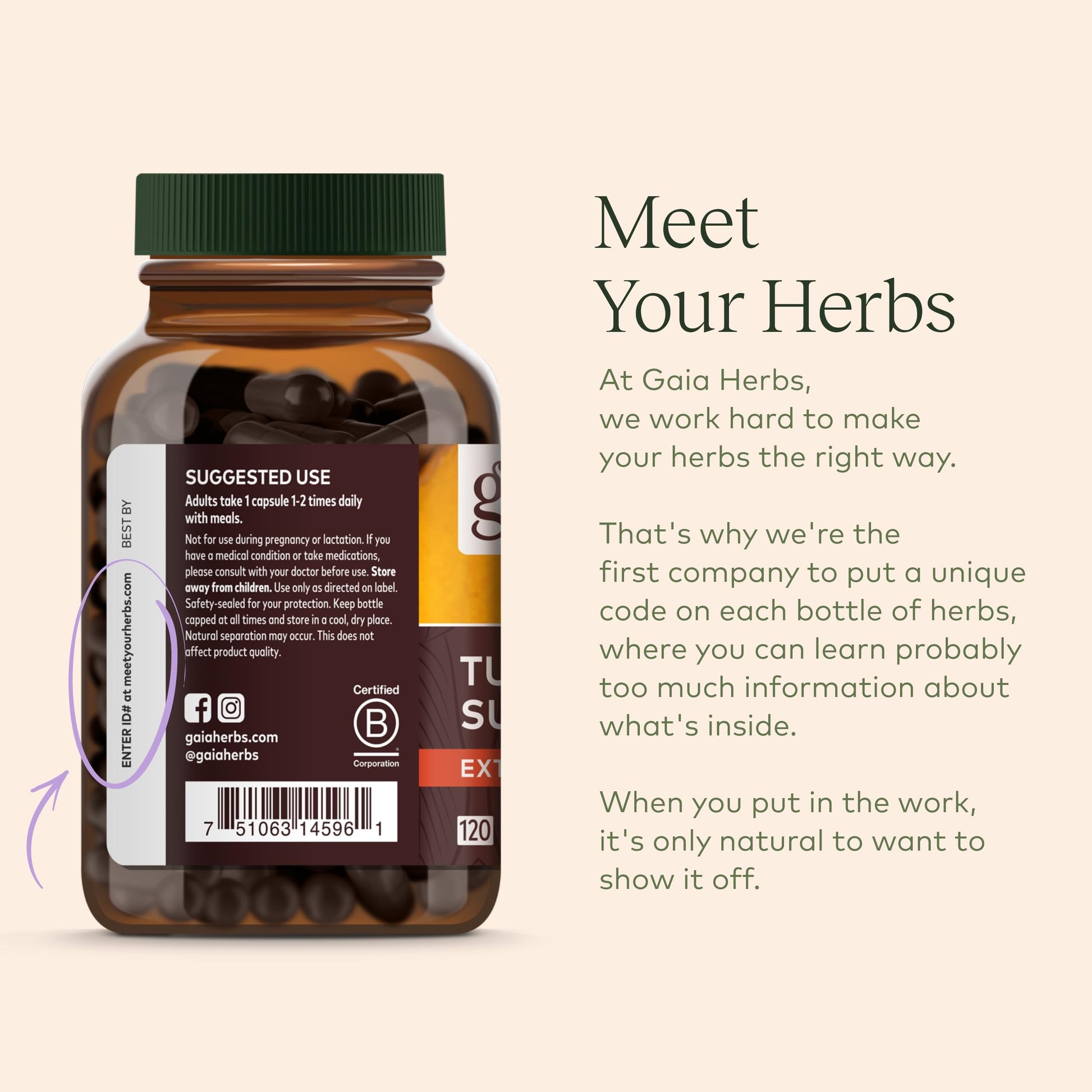 Gaia Herbs Organic Lion’s Mane Mushroom - Brain and Nerve Support Supplement Gaia HerbsUS supplements