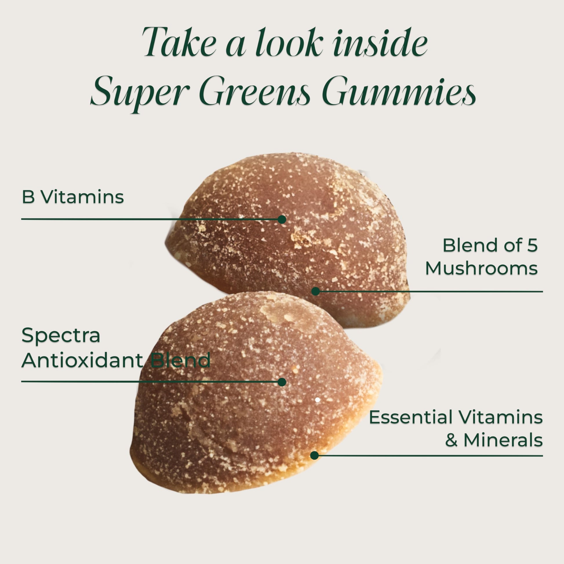Primal Harvest Super Greens Gummies, Superfood Blend with Adaptogenic Mushrooms Vitamins & Nutrient-Rich Minerals & Antioxidants for Energy & Immune Support 1 Pack 60 Count, Primal HarvestAu supplements