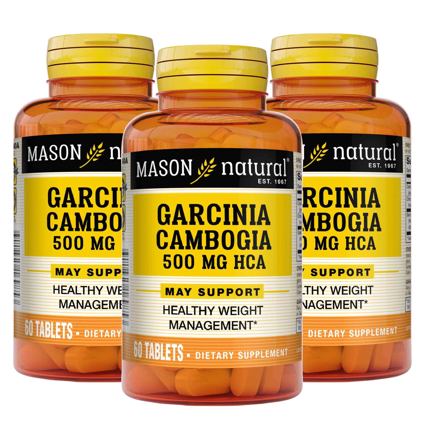 MASON NATURAL Garcinia Cambogia 500 mg HCA with Calcium and Chromium MASON NATURALUS supplements