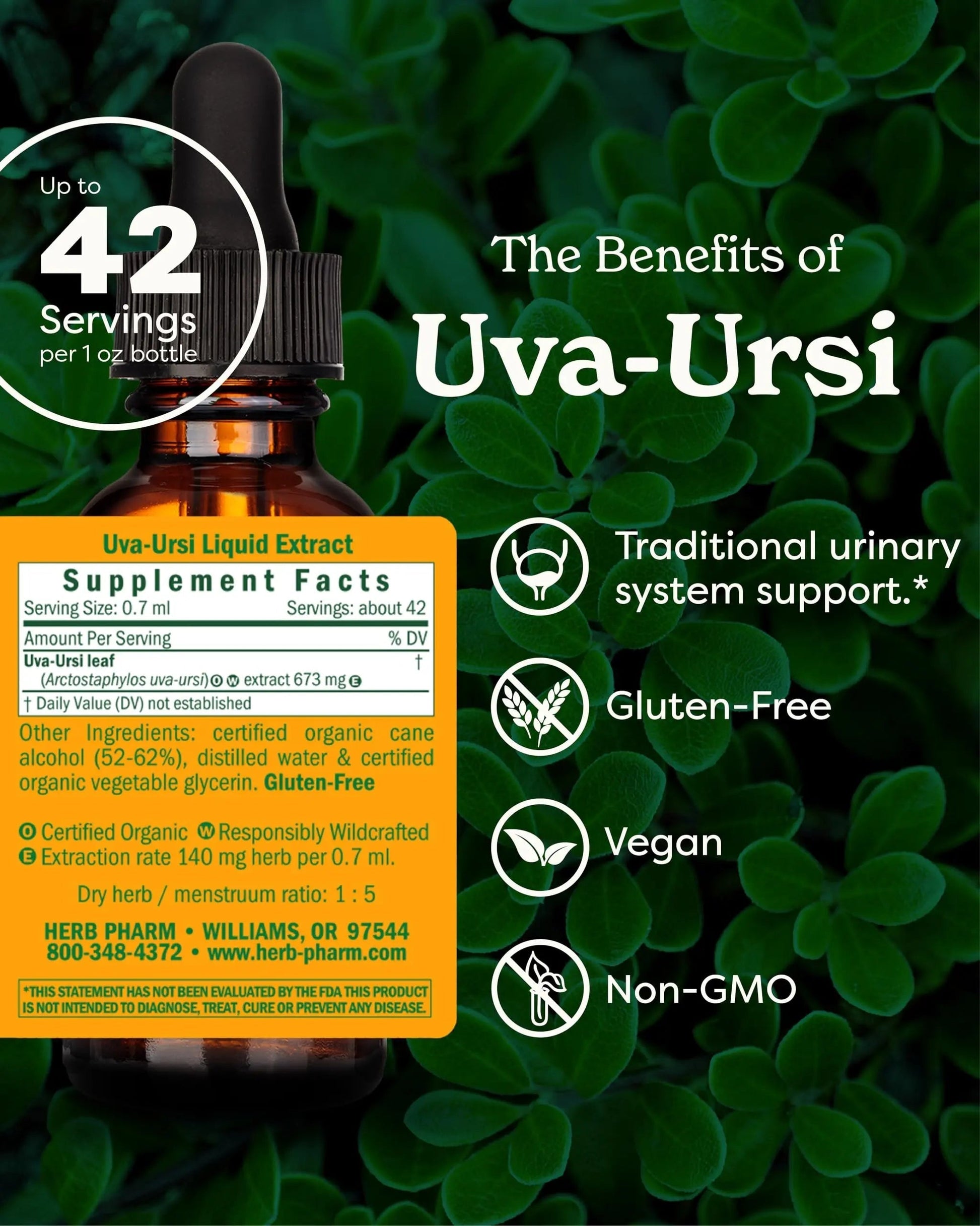 Herb Pharm Uva Ursi Liquid ExtraCount for Urinary System Support, 1 Fl Oz Herb PharmAu supplements
