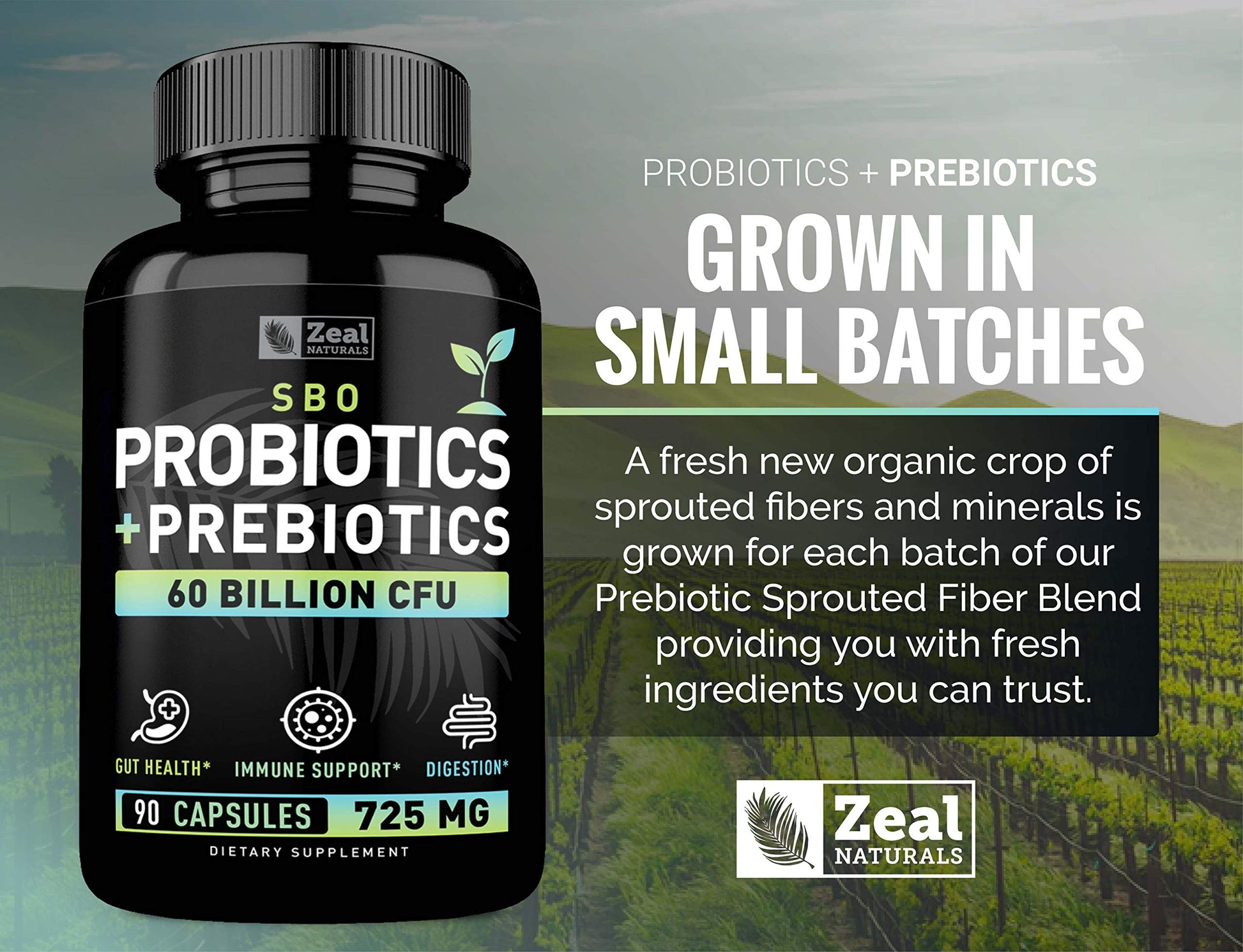 Probiotics and Prebiotics + SBO Probiotics (60 Billion CFU | 90 Capsules) Acidophilus Probiotic w. Saccharomyces Boulardii, Bifidobacterium + Spore Probiotic & Organic Sprouted Prebiotic Fiber Blend Zeal NaturalsAu supplements