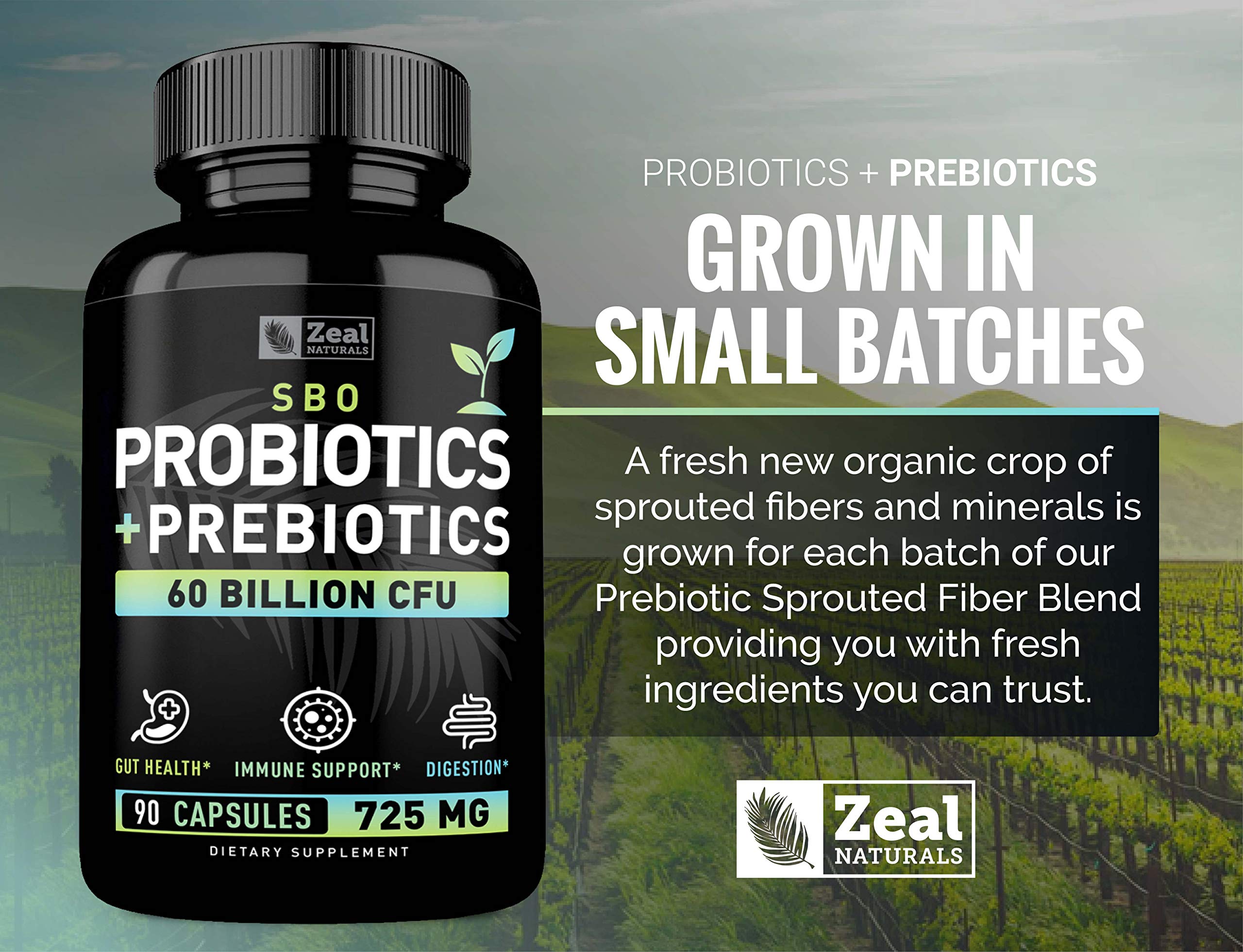 Probiotics and Prebiotics + SBO Probiotics (60 Billion CFU | 90 Capsules) Acidophilus Probiotic w. Saccharomyces Boulardii, Bifidobacterium + Spore Probiotic & Organic Sprouted Prebiotic Fiber Blend Zeal NaturalsAu supplements