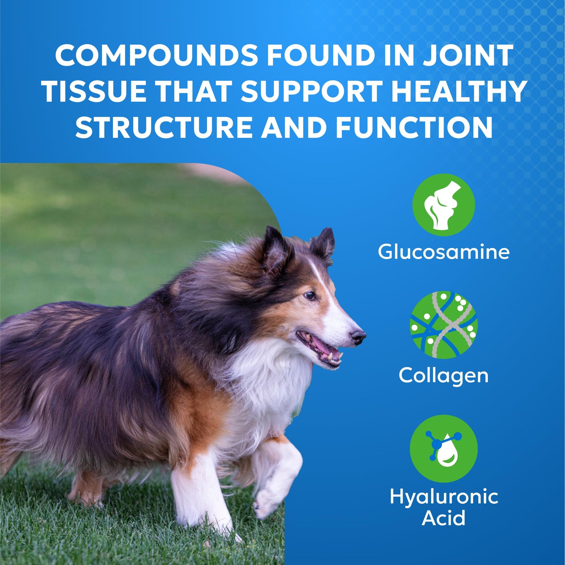 Nutramax Cosequin Elements Dog Joint Health Supplement with Glucosamine, Green Lipped Mussel, Omega-3s, Eggshell Membrane, Hyaluronic Acid, & Postbiotics, 75 Tasty Chewable Tablets for Dogs Nutramax LaboratoriesAu supplements