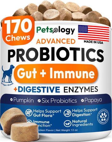 Probiotics for Dogs - 170 Dog Probiotics Chews - Digestive Enzymes & Prebiotics - Support Gut Health, Diarrhea, Gas & Constipation Relief - Itchy Skin, Allergies, Yeast Balance - Advanced Supplement PetsologyAu supplements