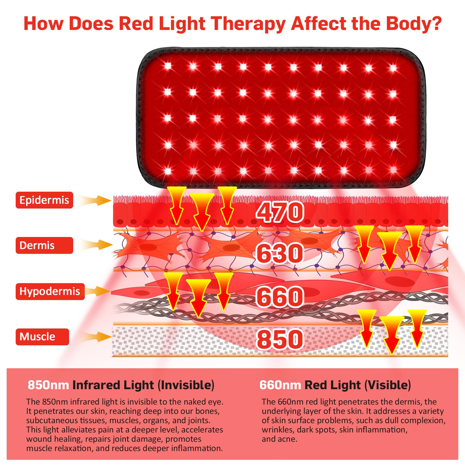 Red Light Therapy Belt, Infrared Light Therapy for Body, Wearable Wrap with Timer GMOWNWAu supplements